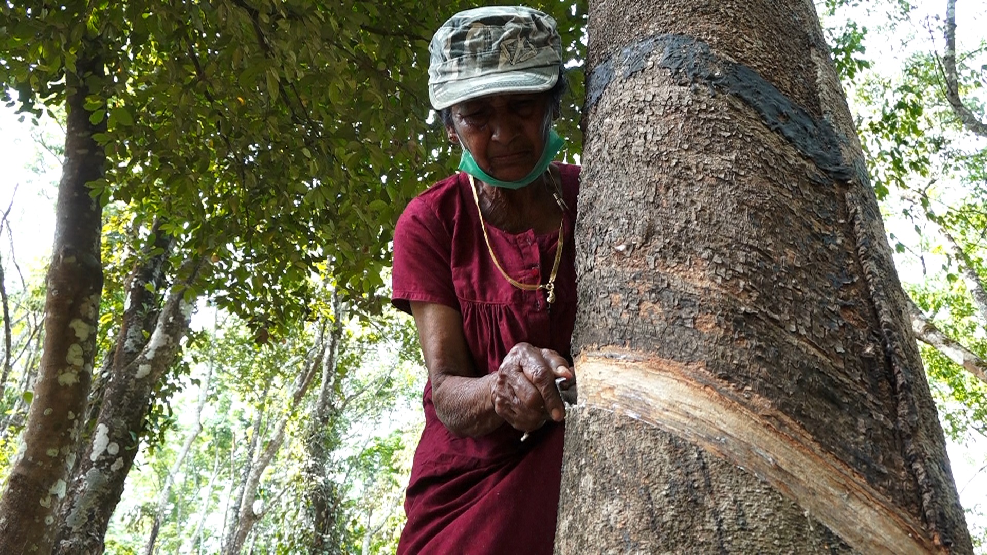 At 68, coconut tree climbing is not a big task for Mariamakutti