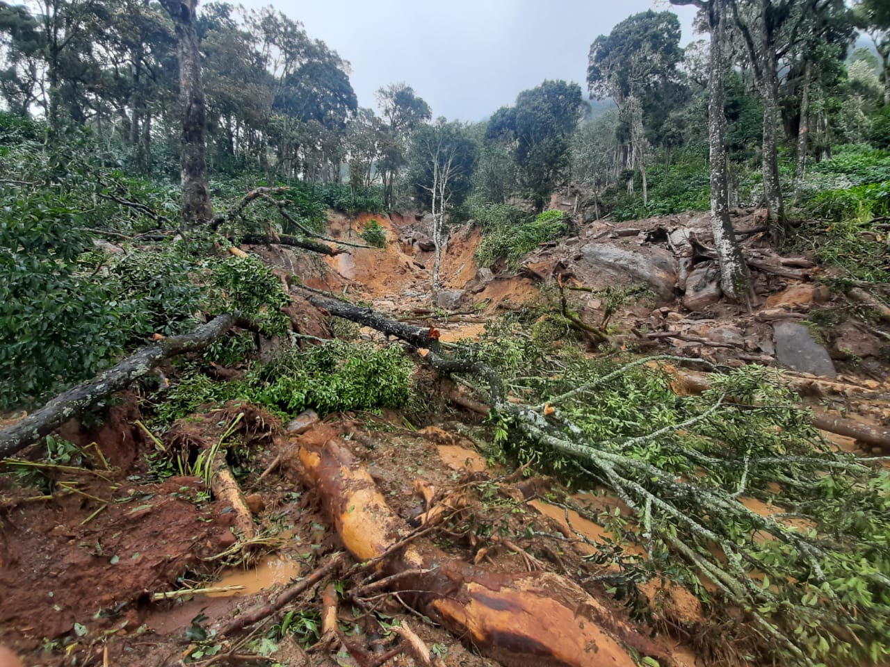 ഇടുക്കി  heavy-rain- in idukki  extraordinary-situation-in-idukki  കട്ടപ്പന- കുട്ടിക്കാനം  ഏലപ്പാറ