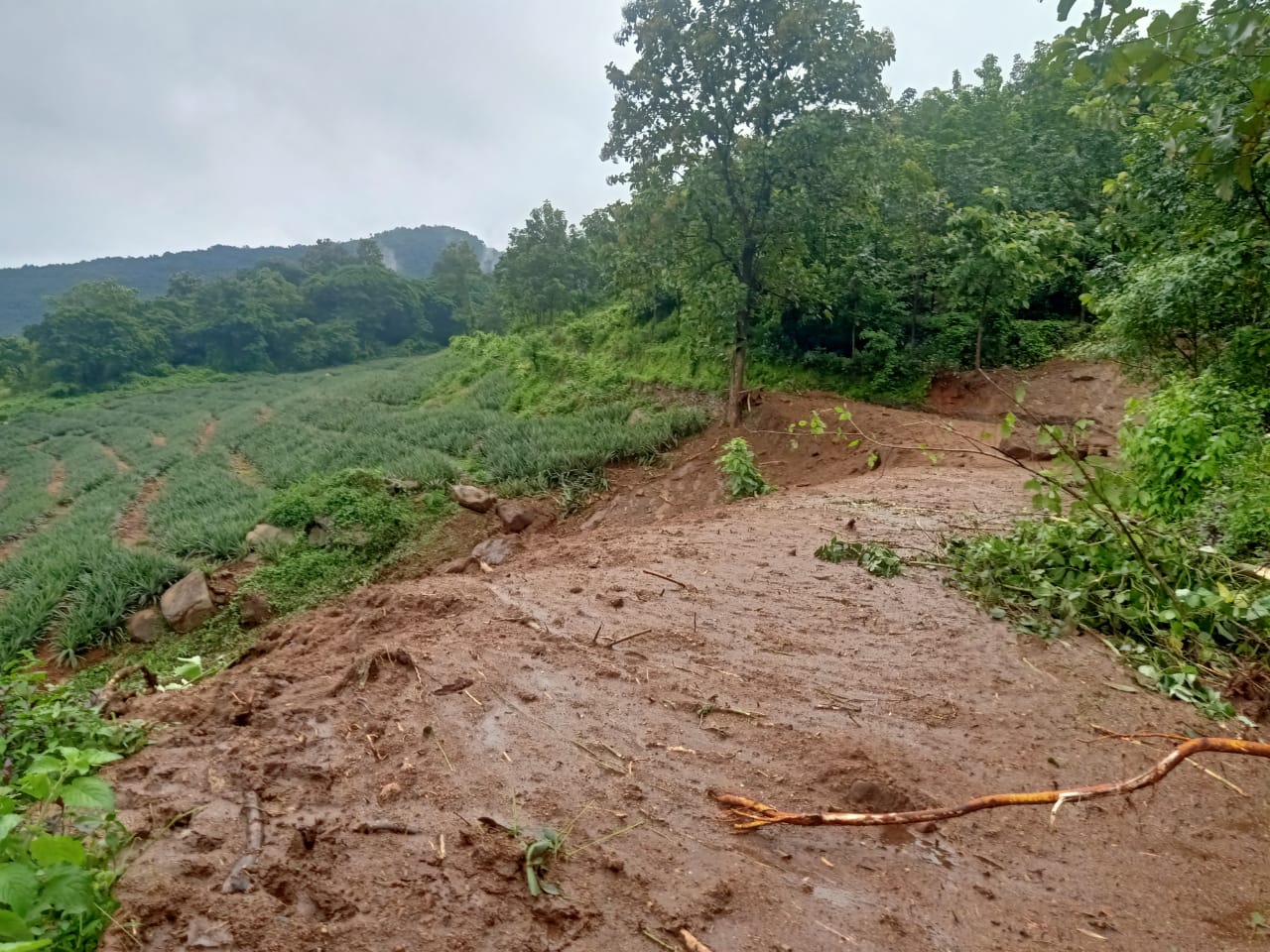 kerala rain  man drowned in kottayam koottikal  kerala rain updates  kottayam news  കൂട്ടിക്കലിൽ ഒഴുക്കിൽ പെട്ട് കാണാതായ ആളുടെ മൃതദേഹം കണ്ടെത്തി  കേരളം മഴ അപ്‌ഡേറ്റ്