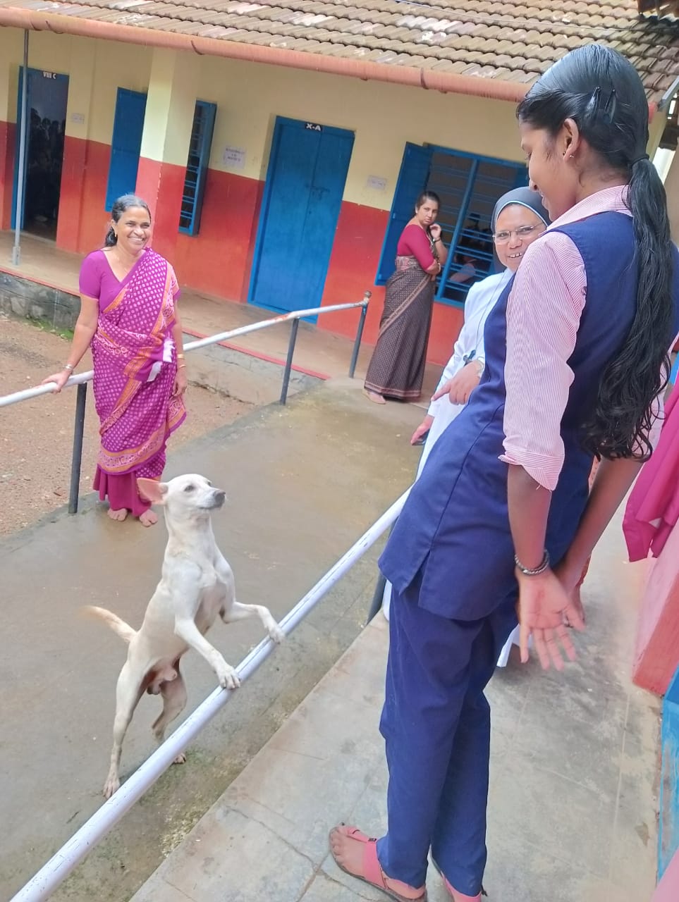 pet dog came to school  Kottayam Manarkad Infant Jesus School  ആര്‍ദ്രയെ തേടി വളര്‍ത്ത് നായ എത്തിയത് സ്കൂളില്‍  കൂട്ടുകാരിയെ തേടി പോപ്പിയെത്തി  മണര്‍കാട് ഇന്‍ഫന്‍റ് ജീസസ് സ്കൂള്‍