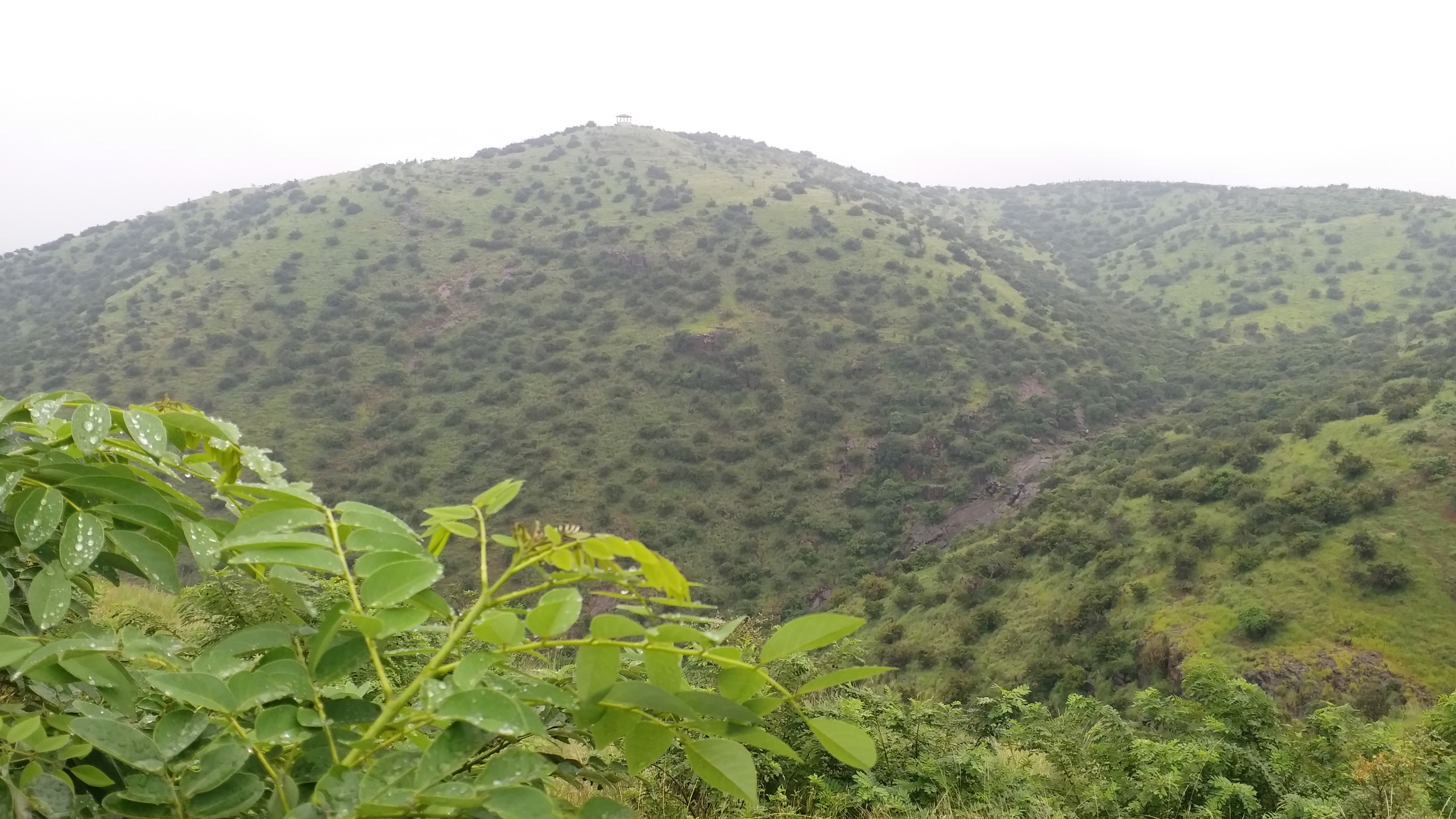 ಹಚ್ಚ ಹಸಿರಿನಿಂದ ಕೂಡಿರುವ ಮಿಂಚೇರಿ ಗುಡ್ಡ