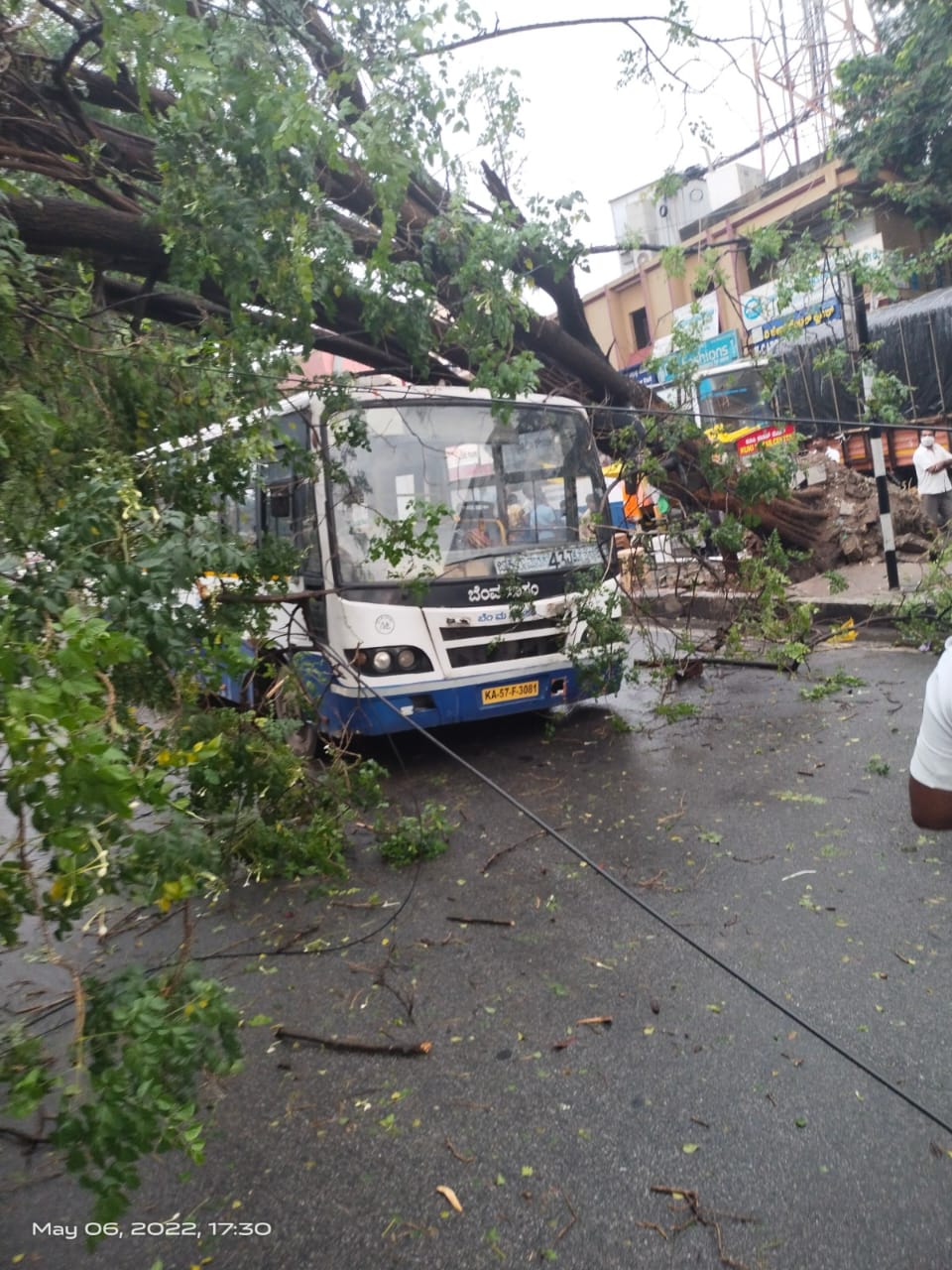 Tree fell on bmtc bus after heavy rain in bengaluru