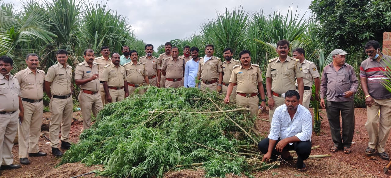 37kg ganja seize by Excise Department; Two accused arrested