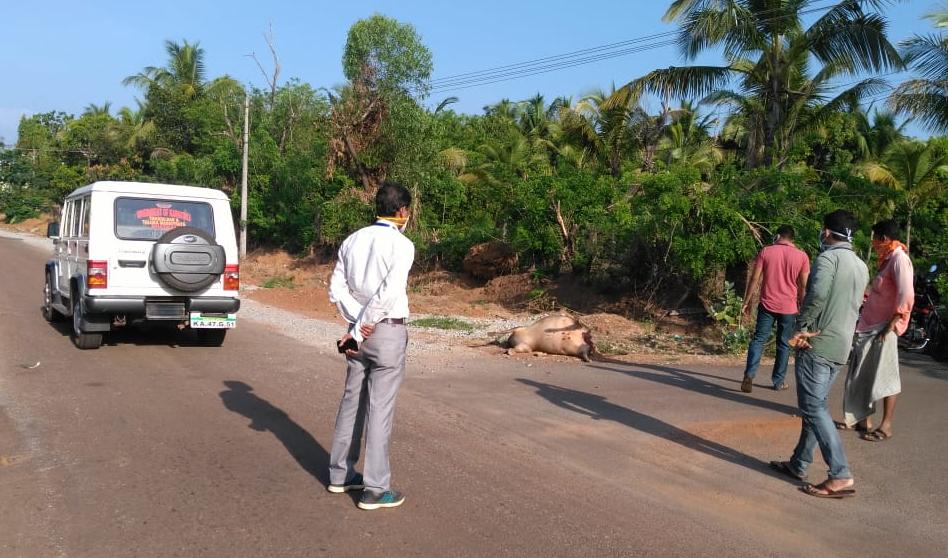 Bhatkala's Tahsildar who performed the funeral ofLivestock