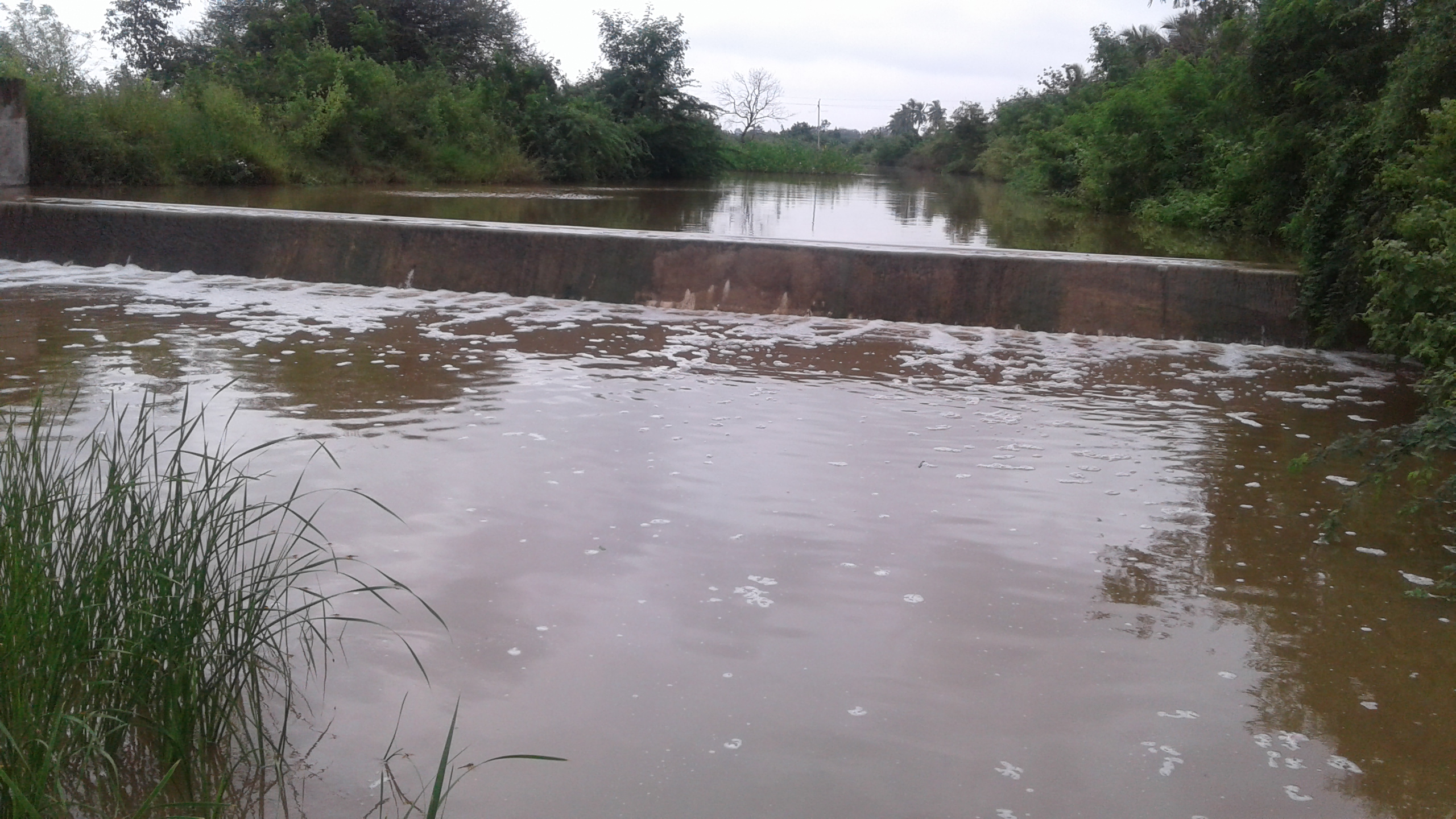 ಕೋಡಿ ಬಿದ್ದ ಹಗರನೂರು ಕೆರೆ