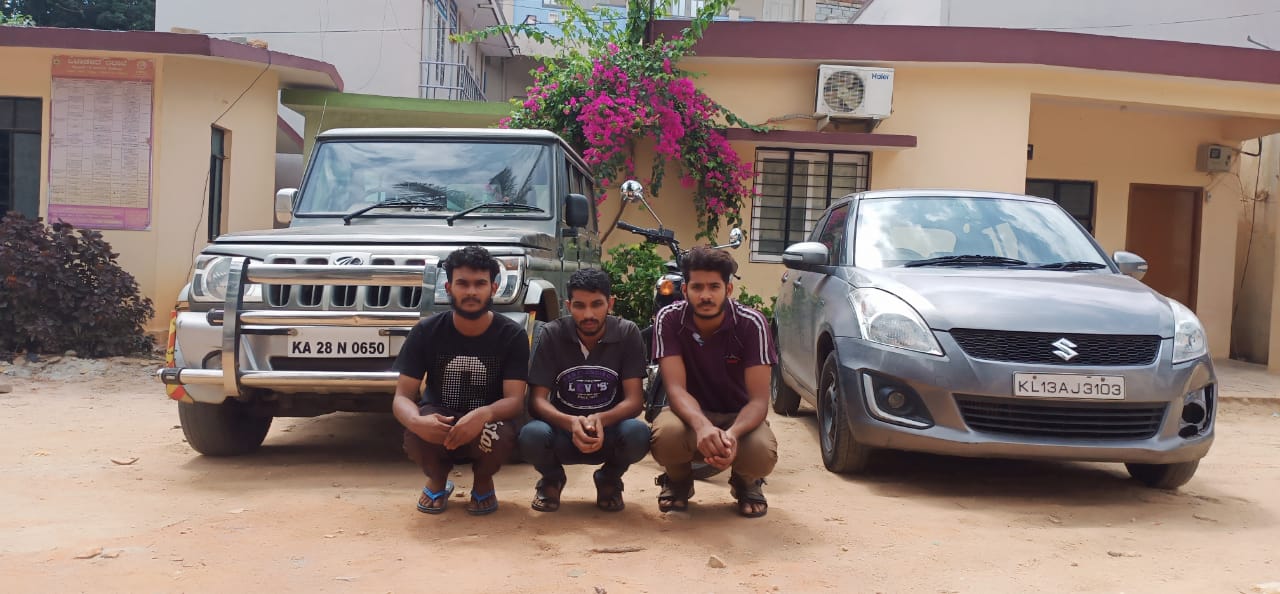 car thieves arrested