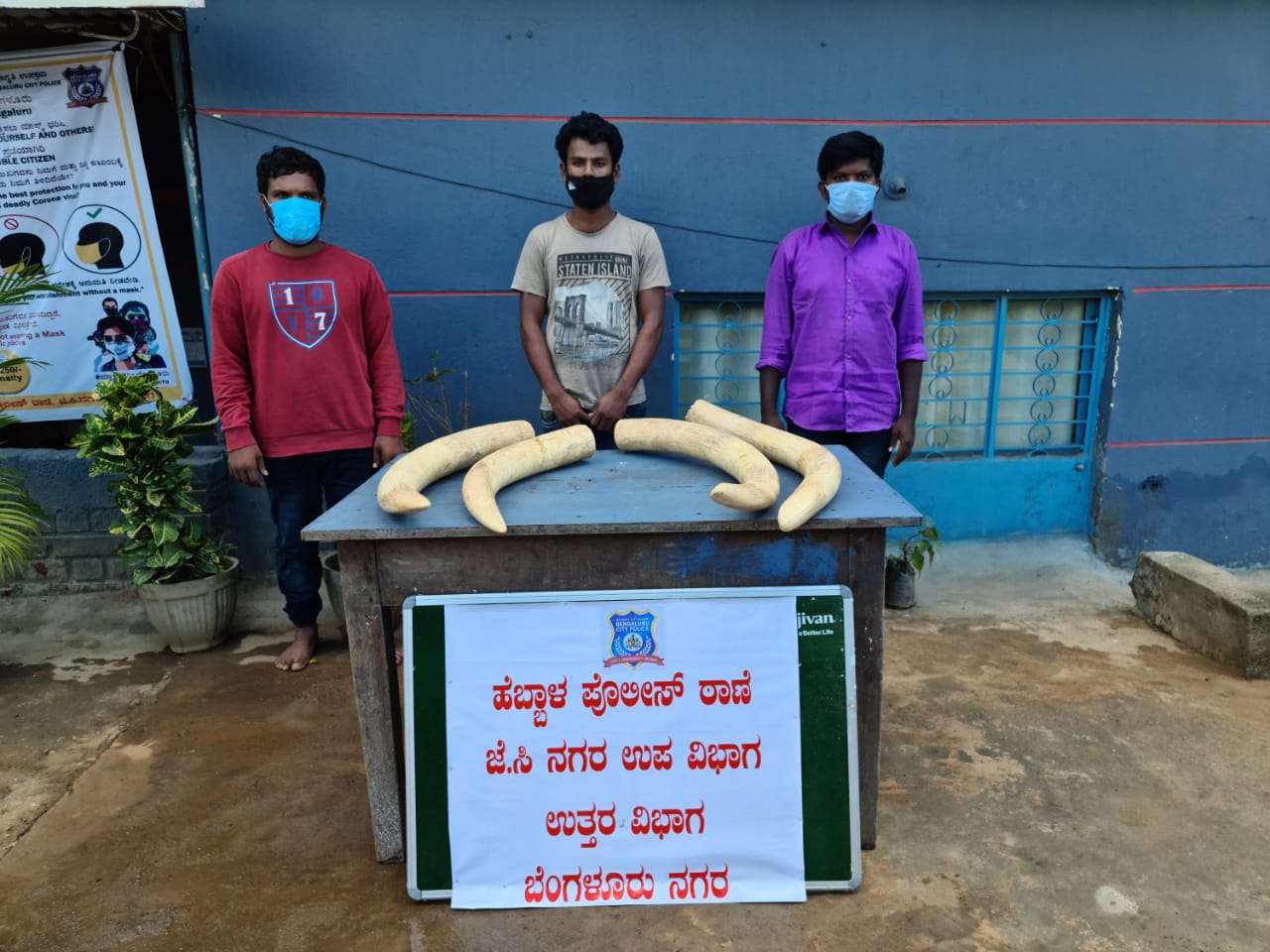 bangalore-police-arrested-elephant-ivory-vendors