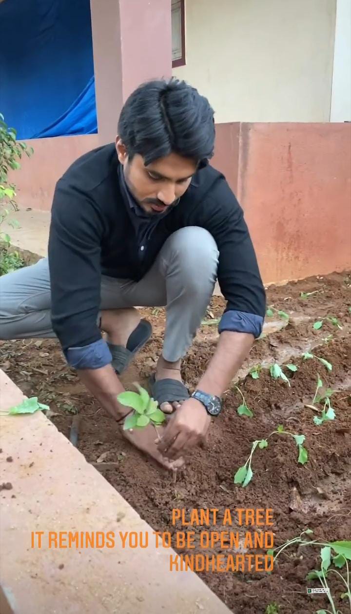 Raksh planted plants