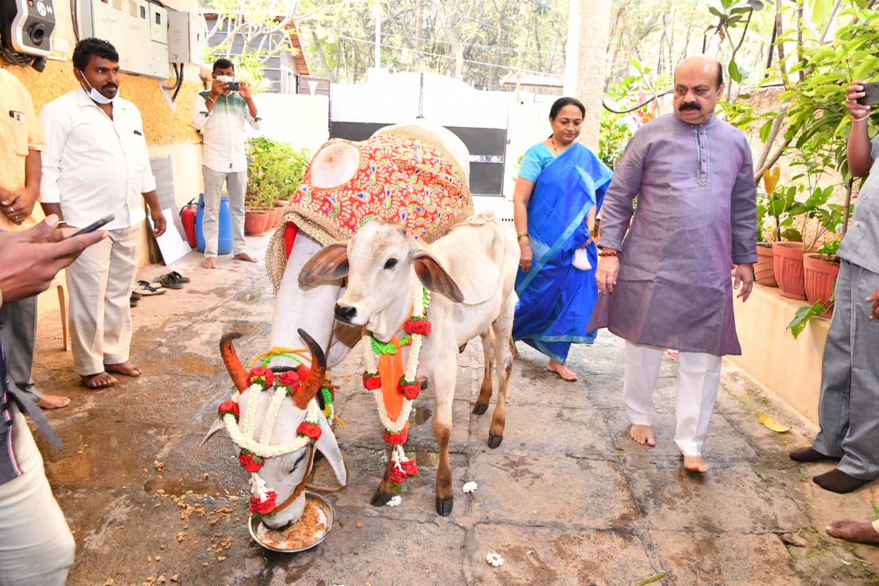 CM Basavaraj Bommai Performs Gau Pooja