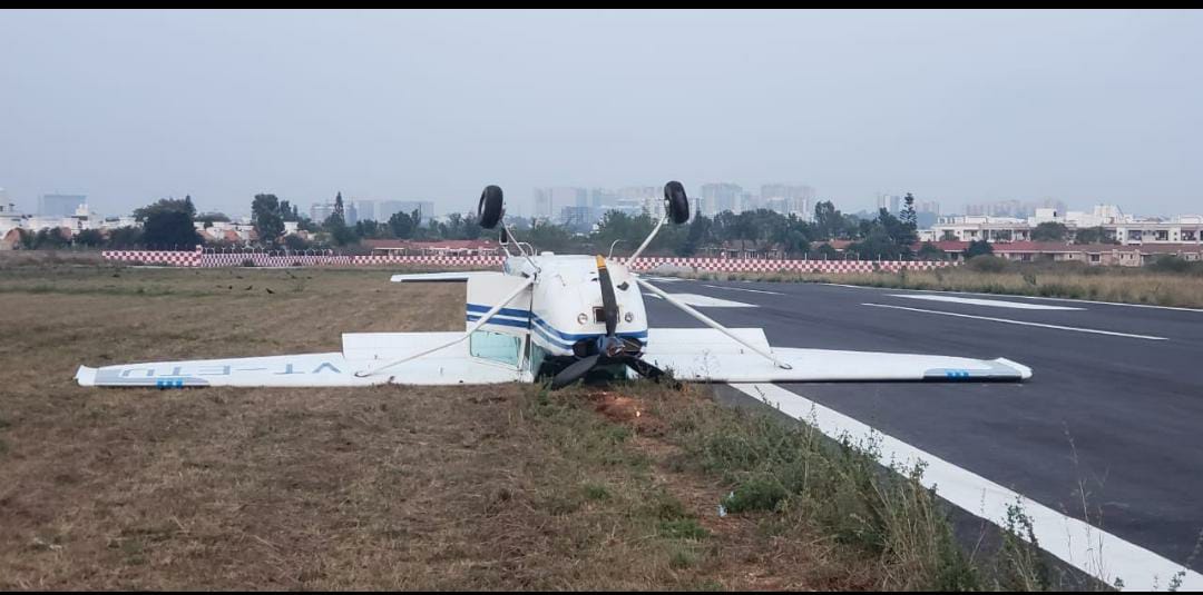 Dogs appearing on the runway if landing