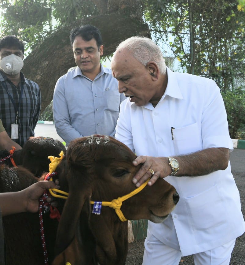 sankranti-festival-celebration-in-cm-yadiyurappa-home