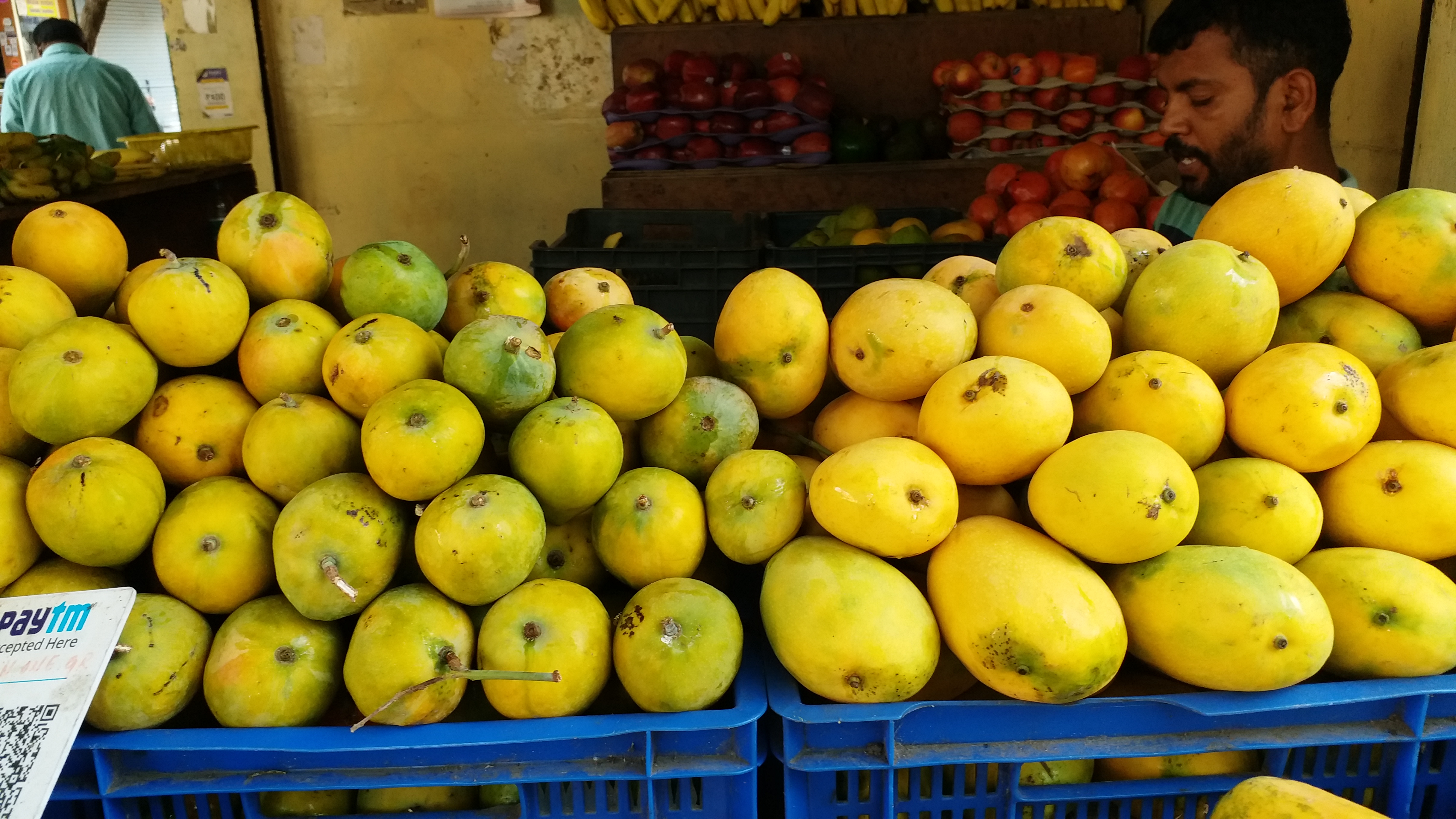 Lockdown effect on mango fruit