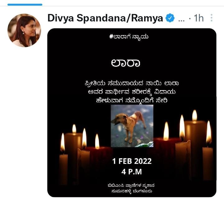 Actress ramya tweet about street dog death