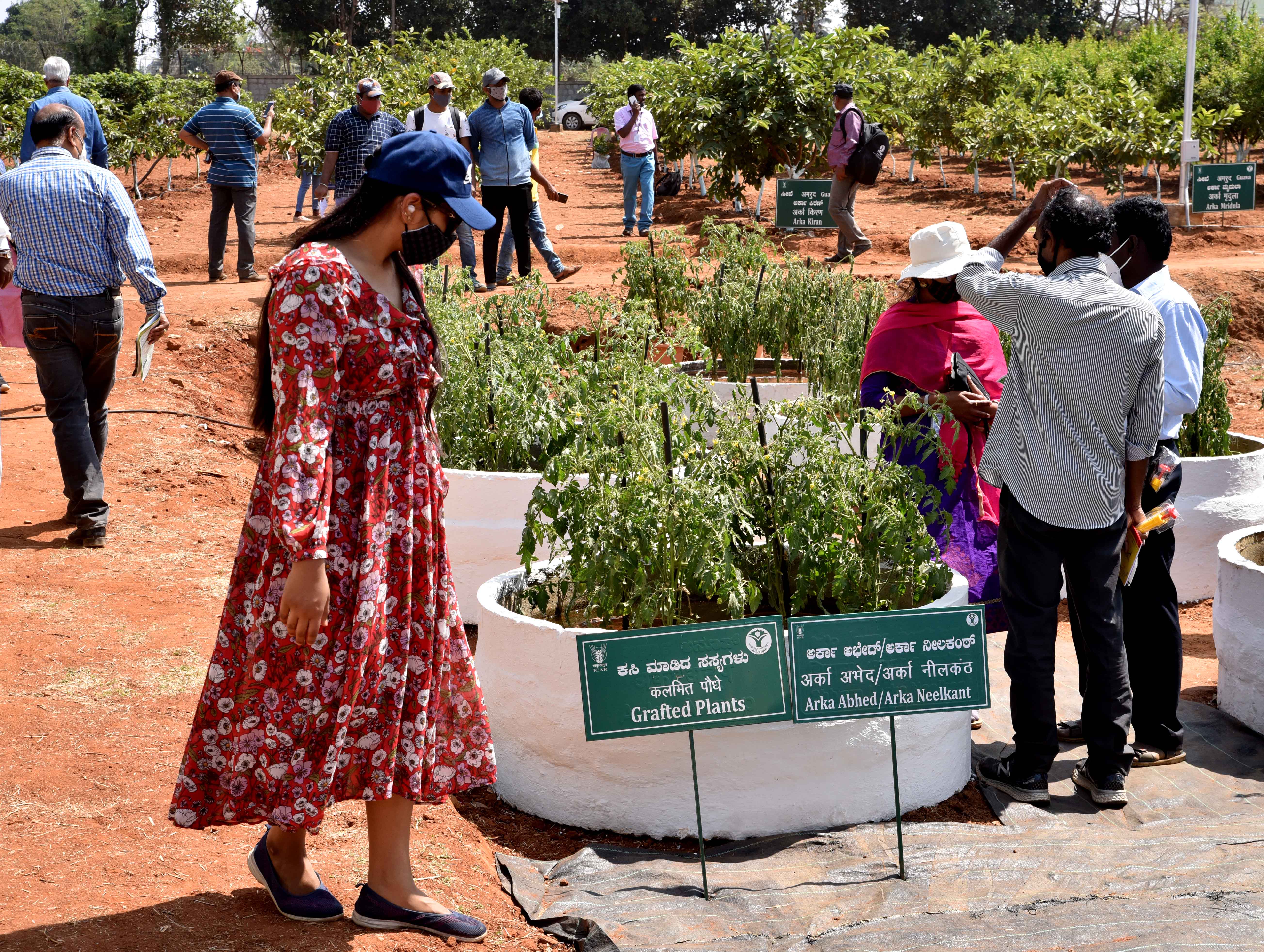 National Horticulture Fair