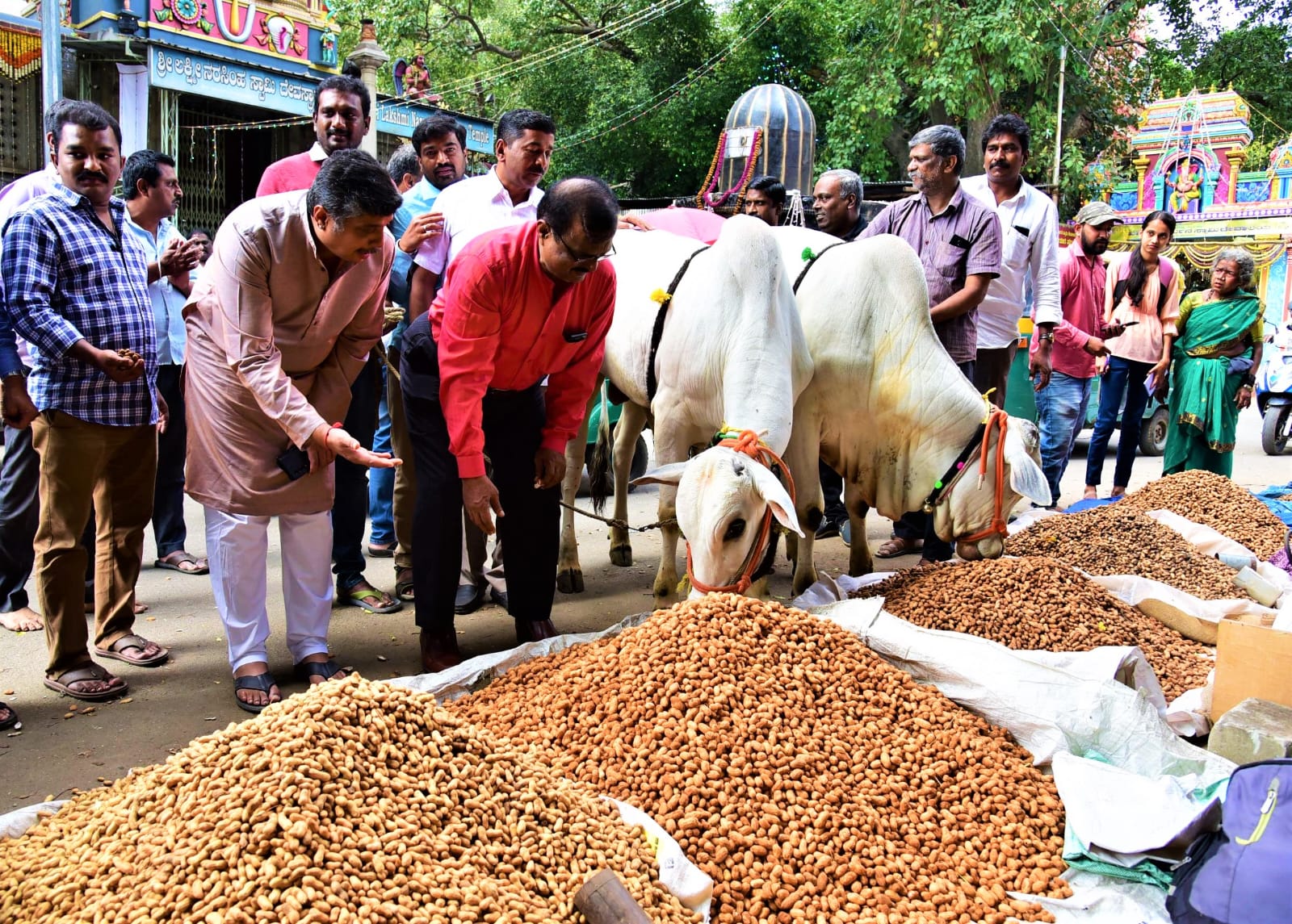 ಮಲ್ಲೇಶ್ವರದ ಕಾಡು ಮಲ್ಲಿಕಾರ್ಜುನ ದೇವಸ್ಥಾನದಲ್ಲಿ ಕಡಲೆಕಾಯಿ ಪರಿಷೆ