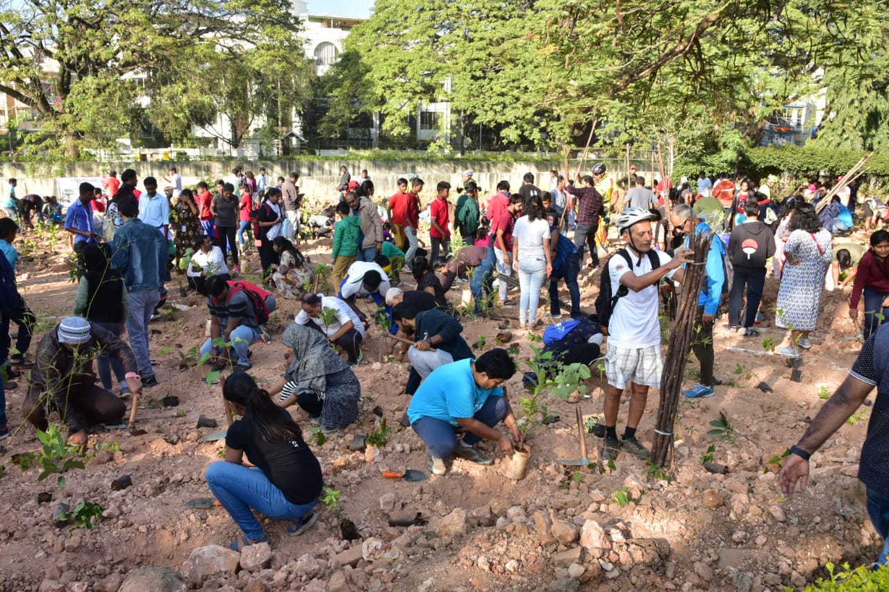 Mayor drive plant planting program in Halasuru lake surrounding