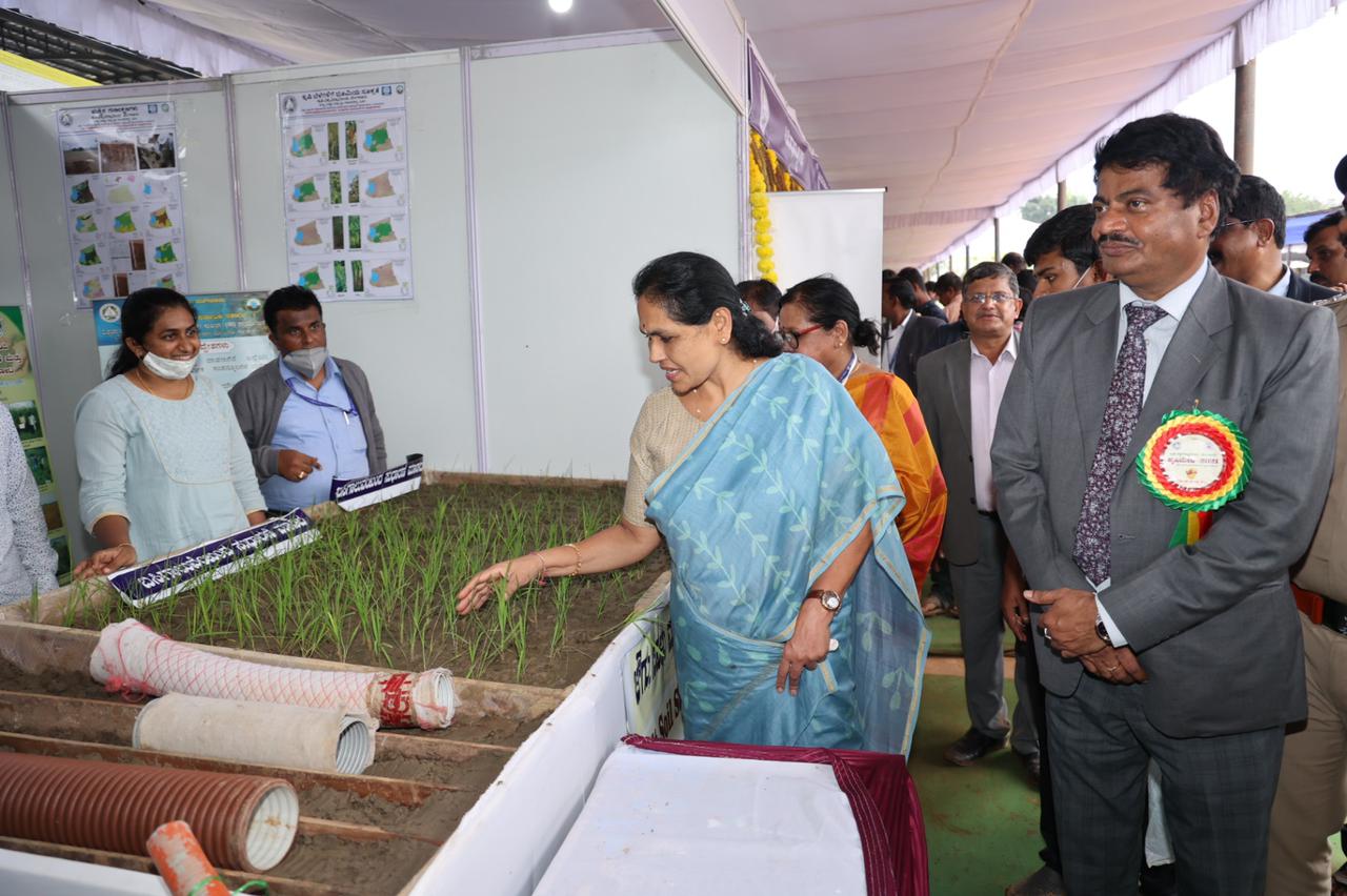 shobha karandlaje drive bullock hackery in Krishi mela