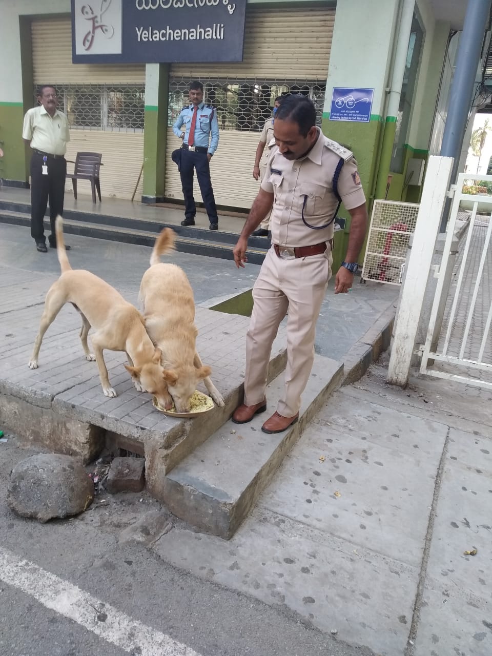 ಬೀದಿ ನಾಯಿಗಳಿಗೆ ಆಹಾರ ನೀಡುವ ಡಾಗ್ ಸ್ಕ್ವಾಡ್ ಎಸಿಪಿ