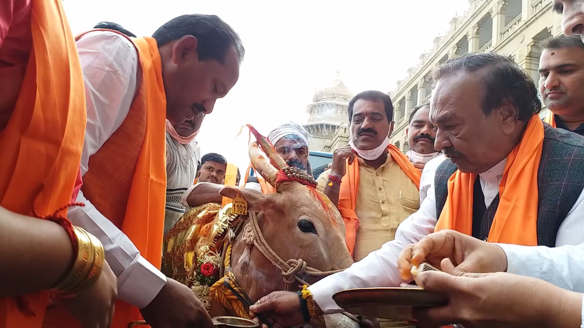 Karnataka Assembly passes anti-cow slaughter bill; Congress' Siddaramaiah calls for CLP meet today