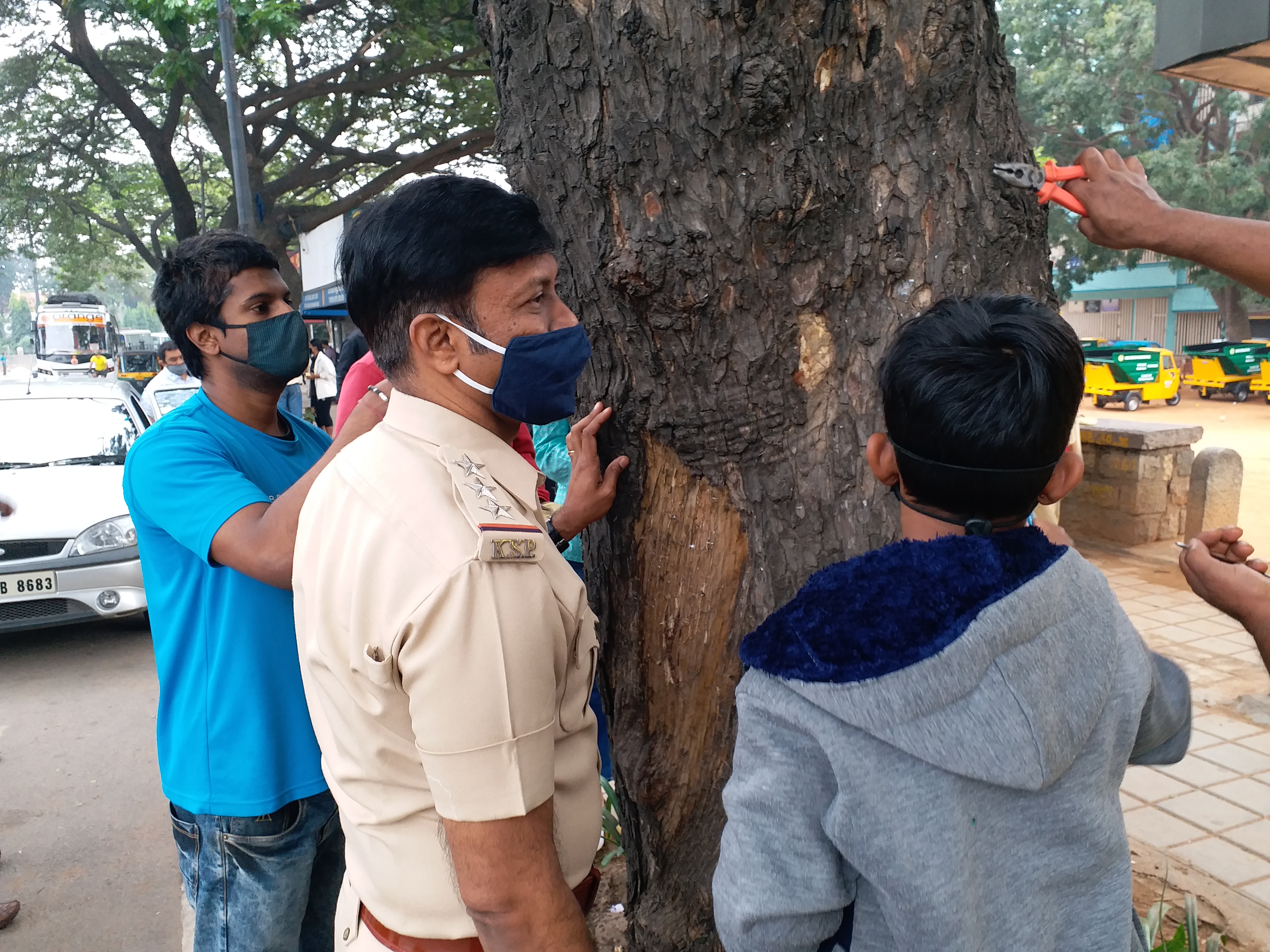 Massive support for nail-free tree campaign: ETV bharat impact