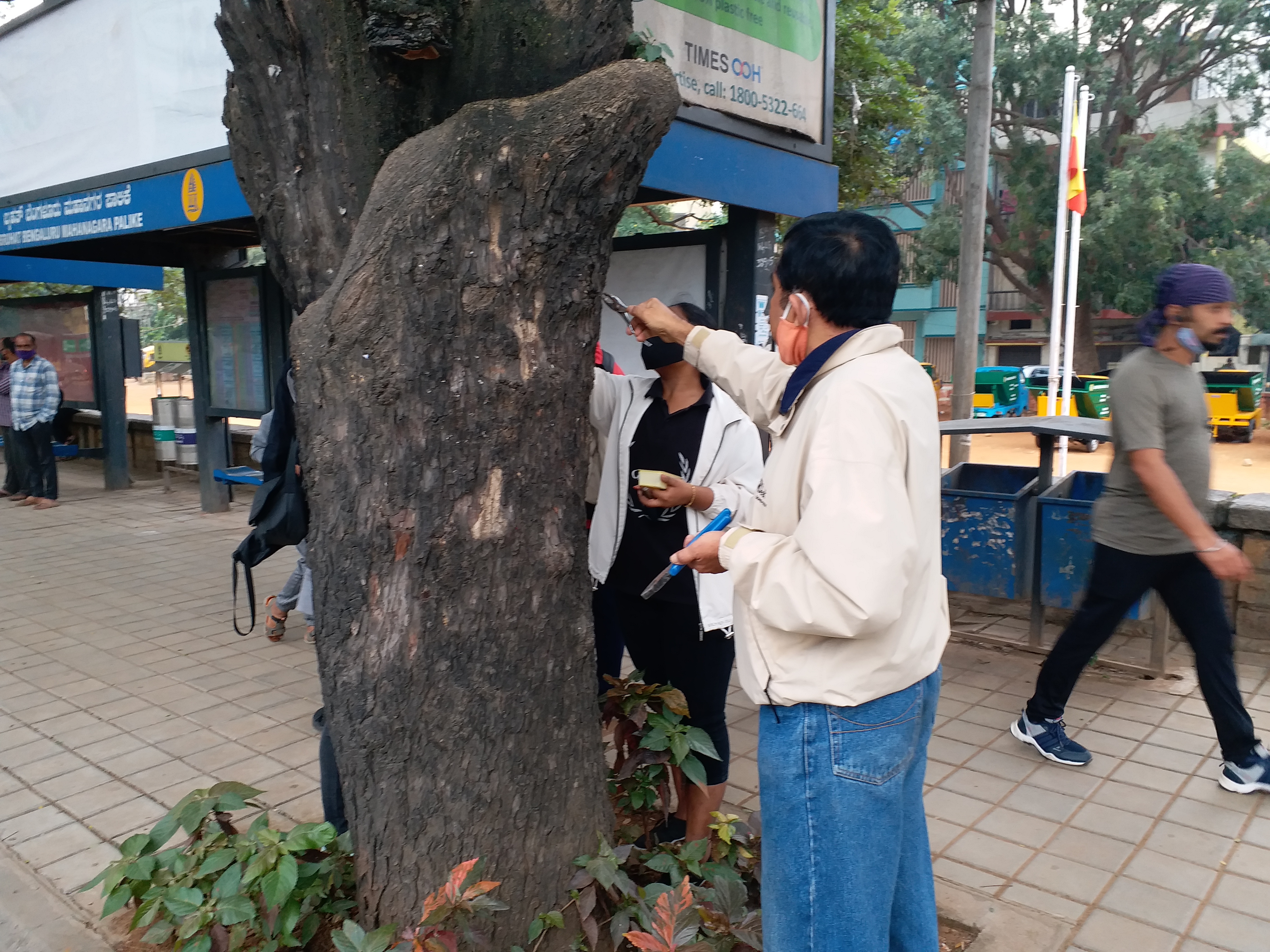 Massive support for nail-free tree campaign: ETV bharat impact