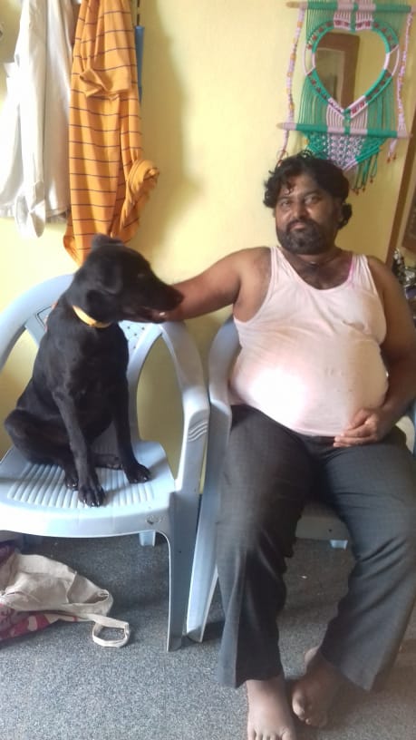 Dog died after the death of its owner in karnataka