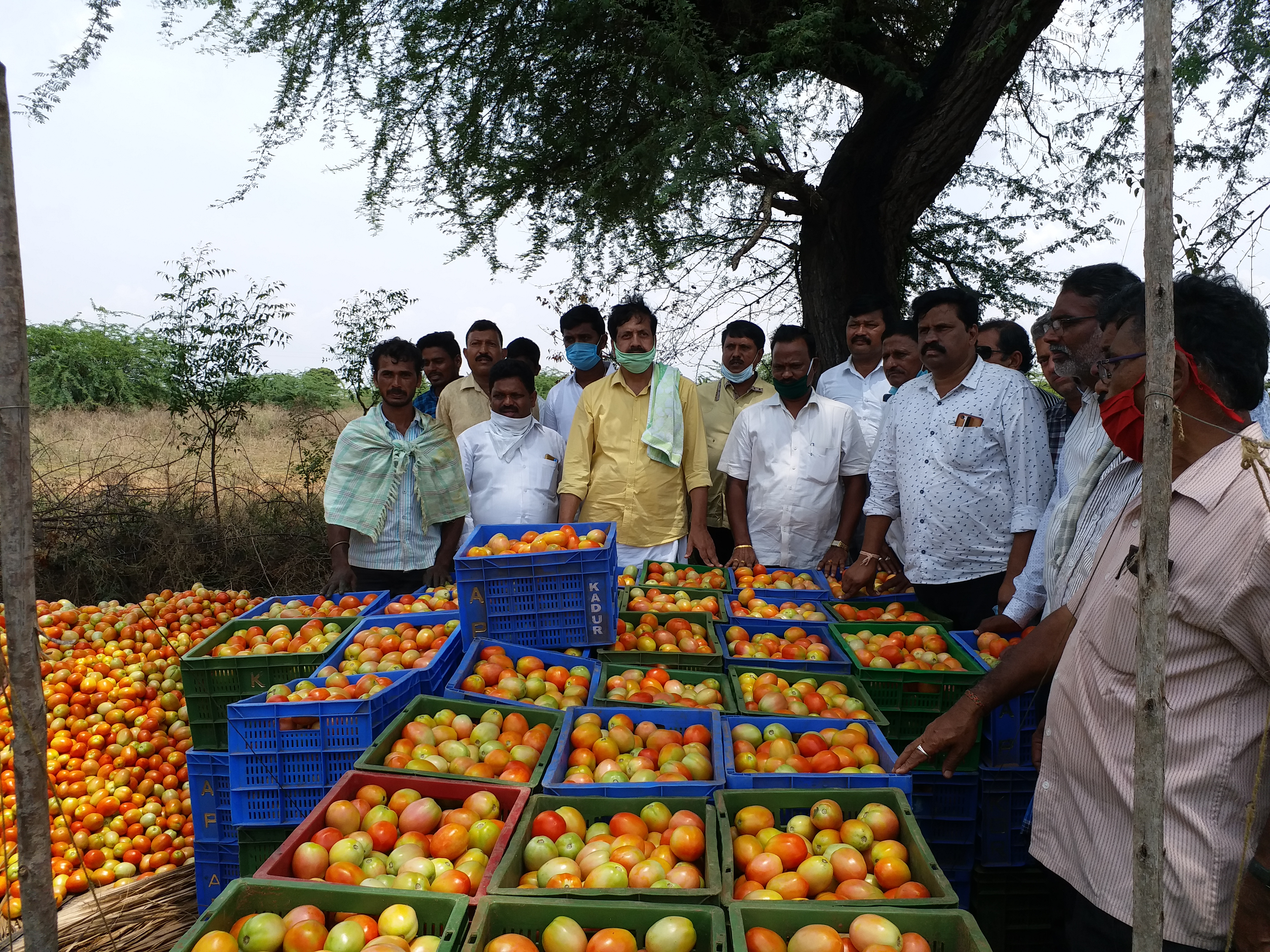 ರೈತರಿಂದ ಹಣ್ಣು-ತರಕಾರಿ ಖರೀದಿಸಿದ ಮಾಜಿ ಶಾಸಕ ವೈ.ಎಸ್.ವಿ.ದತ್ತಾ