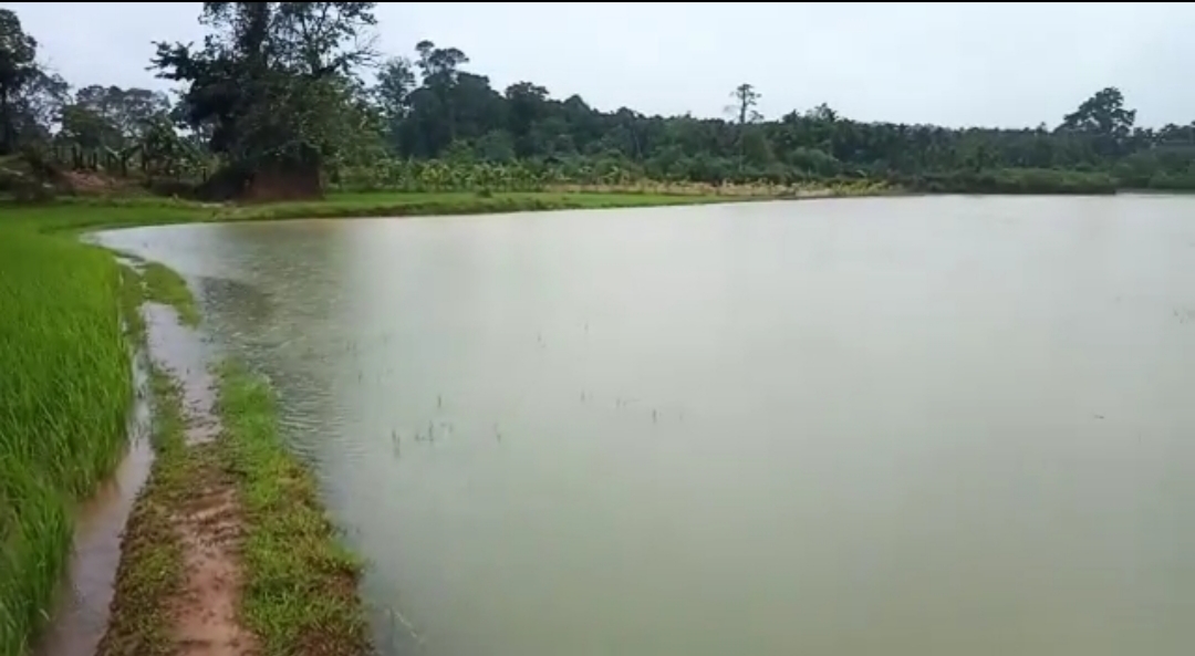 Heavy Rain In Chikkamagaluru