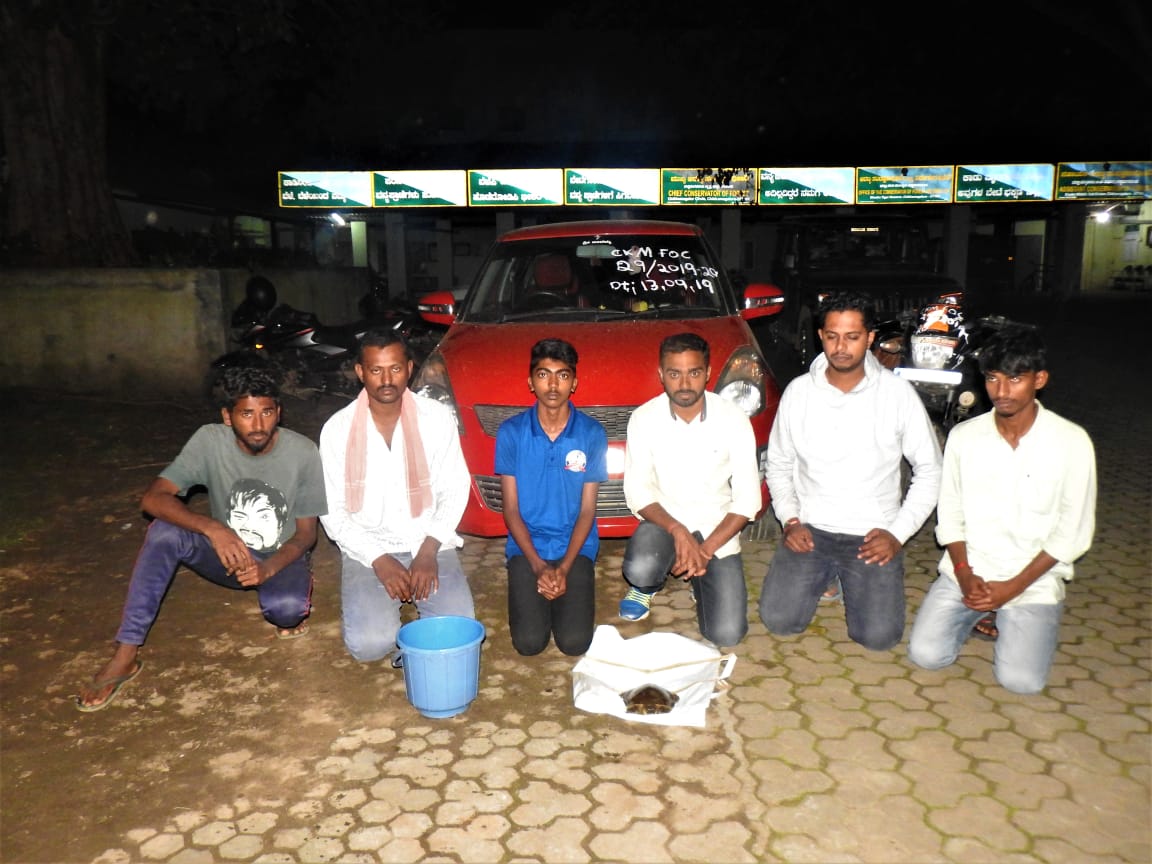 Illegal turtles selling: 7 arrested