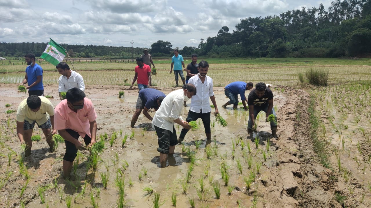 JDS activists planted chin in field