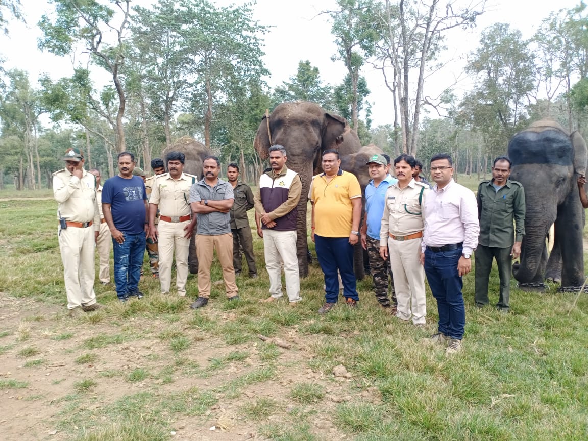 four elephants shifted to satpura tiger reserve