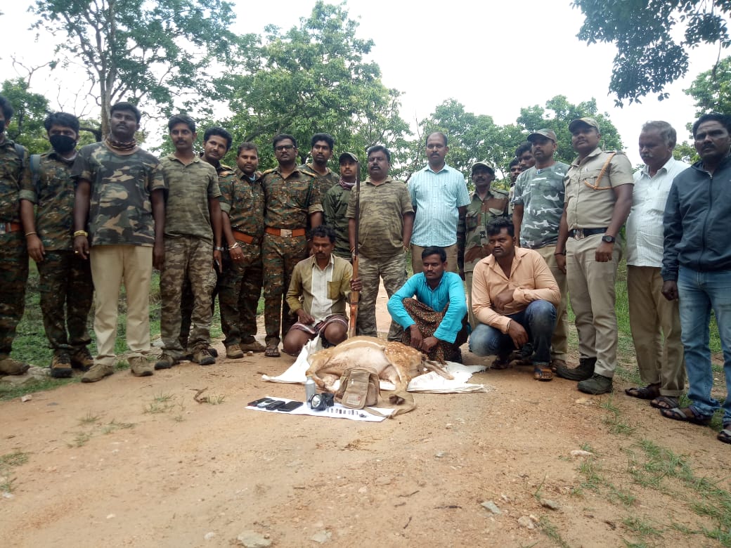 ಬಂಡೀಪುರದಲ್ಲಿ ಬೇಟೆಗಾರರ ಜಾಲ ವ್ಯಾಪಕ