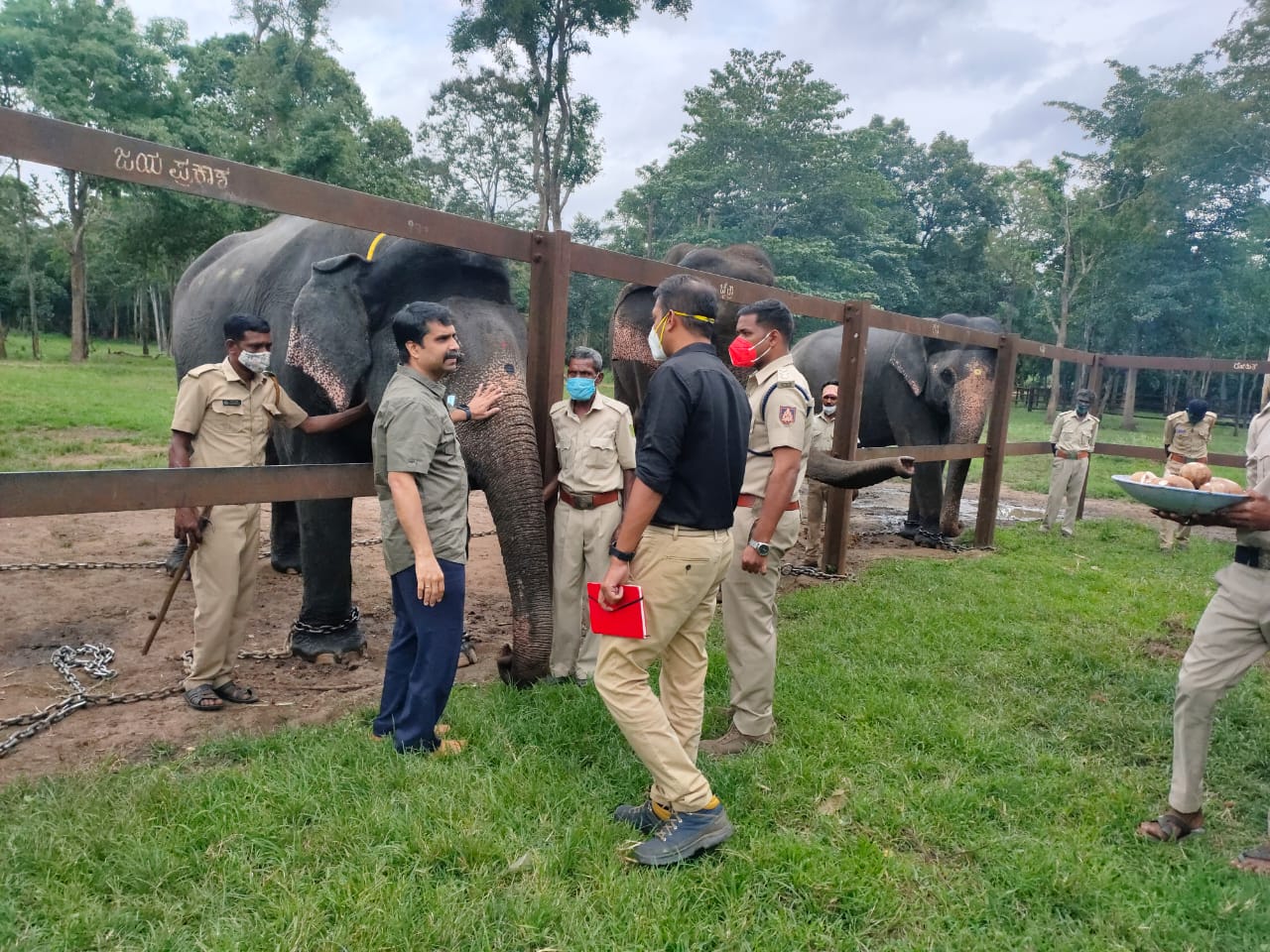 ಮೈಸೂರು ದಸರಾಗೆ ಬಂಡೀಪುರದ ಲಕ್ಷ್ಮಿ, ಚೈತ್ರಾ ಜೊತೆ ಪಾರ್ಥಸಾರಥಿ