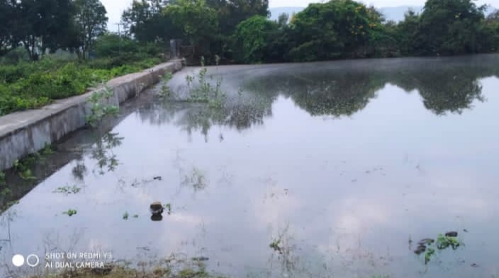 Lakes Full for Rain in Bandipur