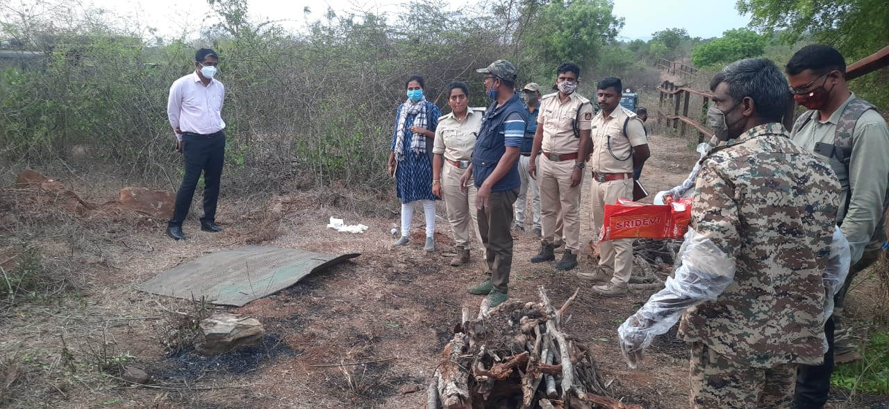 Third tiger cub dies of starvation in Karnataka