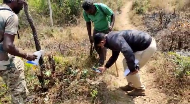 Tiger census begins at Chamarajanagar