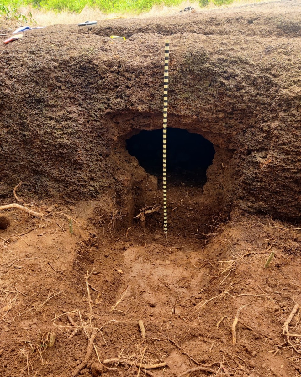 Paleolithic age grave found in dakshina kannada