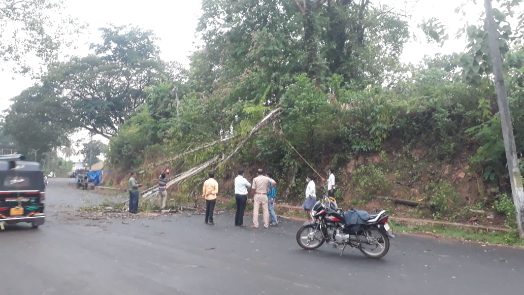 ಮಳೆ ಗಾಳಿಗೆ ಅಪಾರ ಪ್ರಮಾಣದ ಕೃಷಿ ಬೆಳೆ ಹಾಗೂ ಮನೆಗಳಿಗೆ ಹಾನಿ