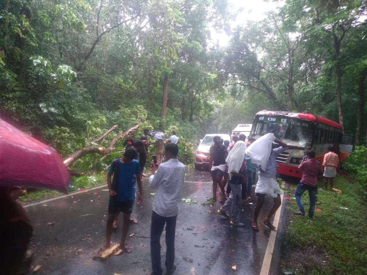 trees fell down on tempo and bus