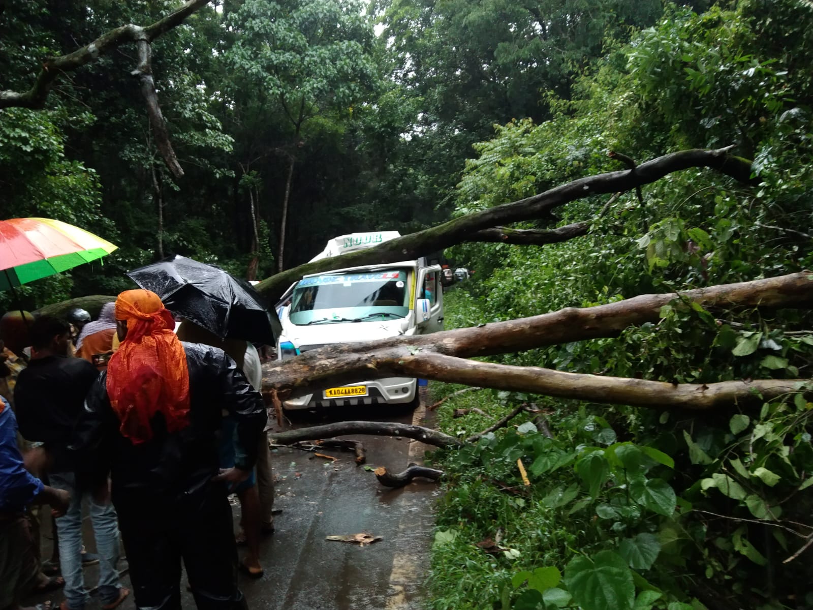 trees fell down on tempo and bus