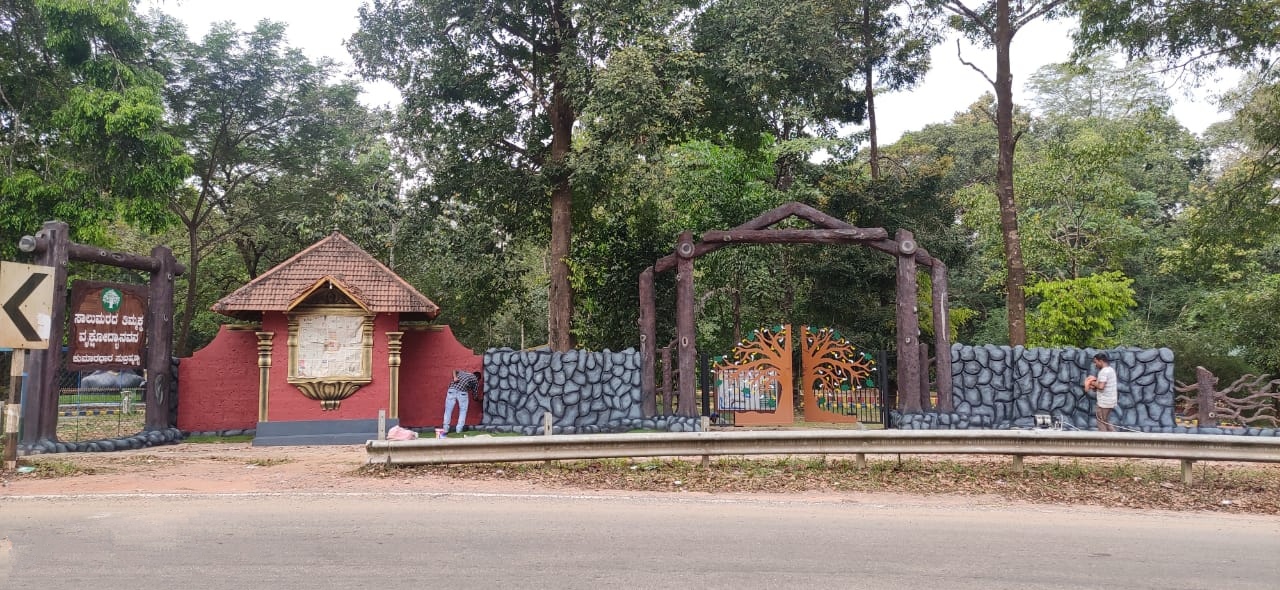 Saalumarada Thimmakka Botanical garden