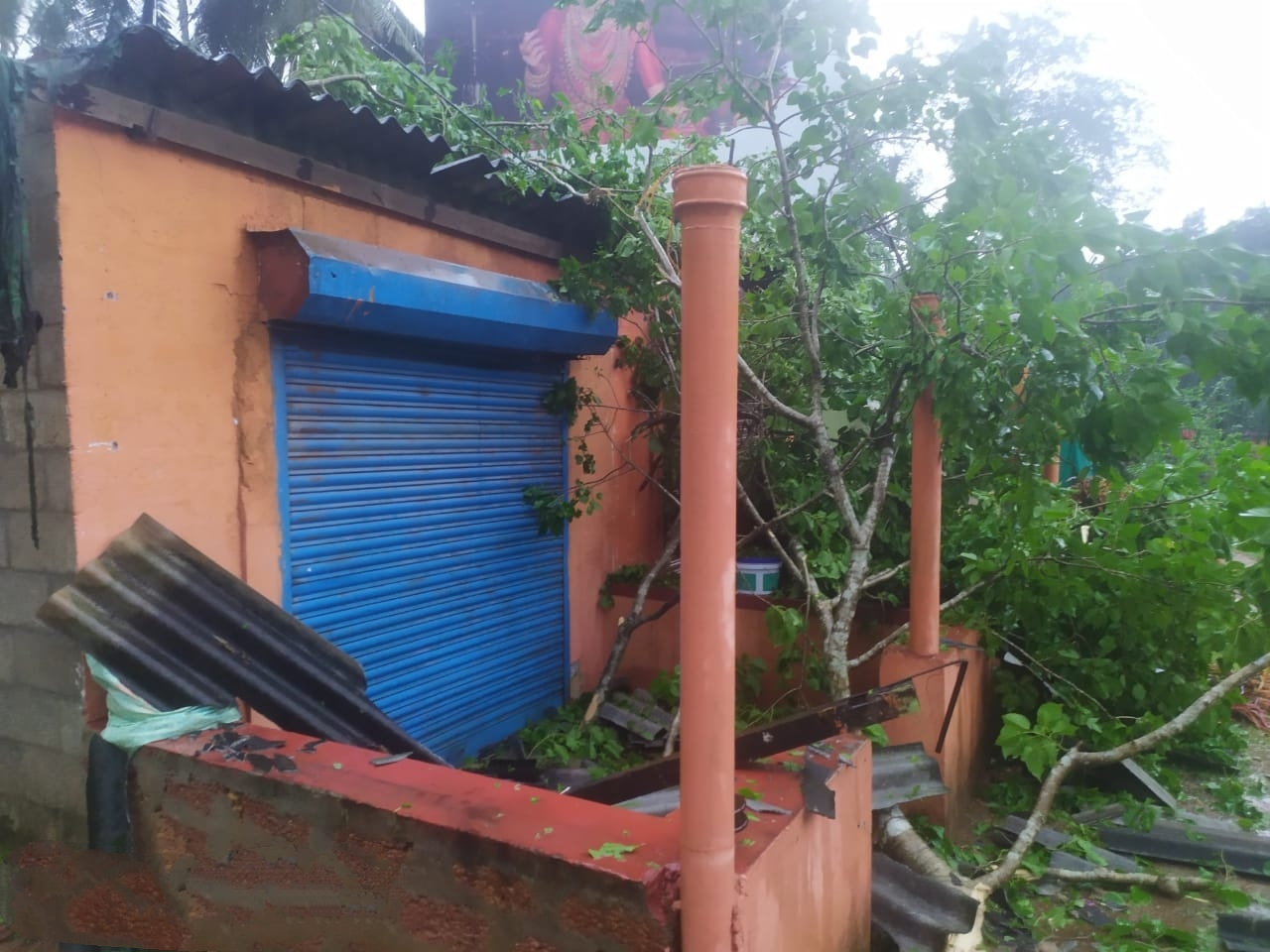 Tree Falling On  zeep in kadapa