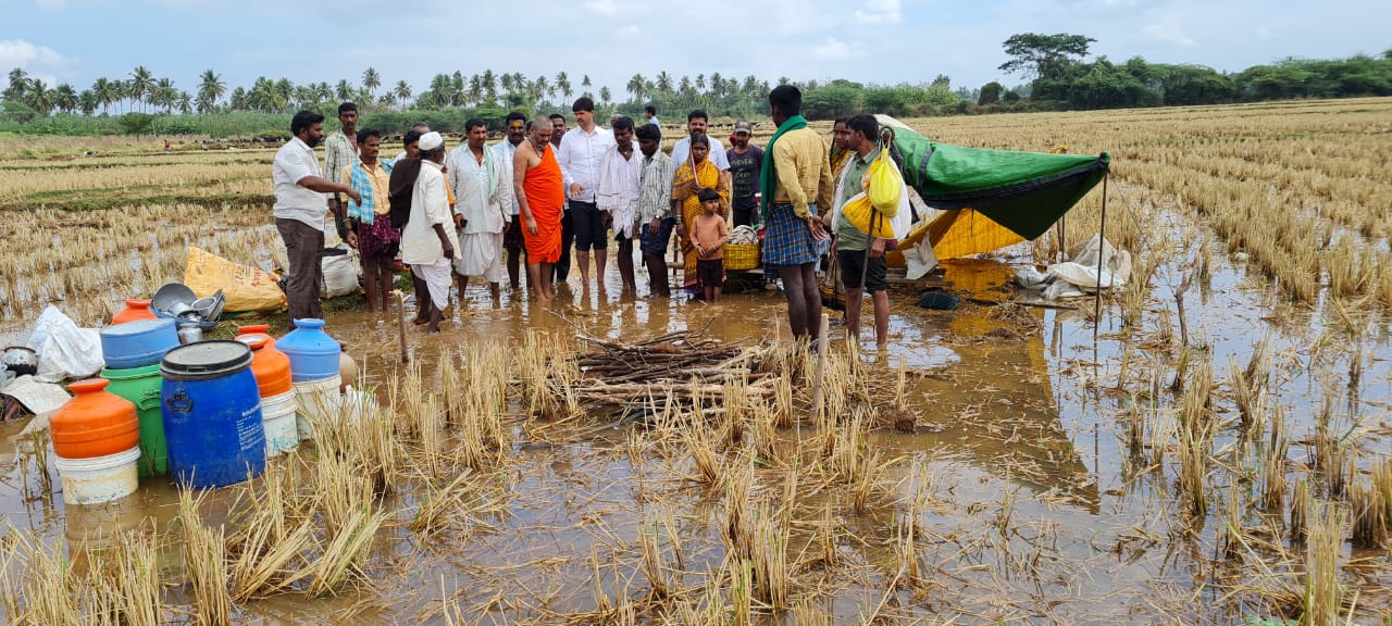 10 sheep deaths after a thunderbolt in davanagere