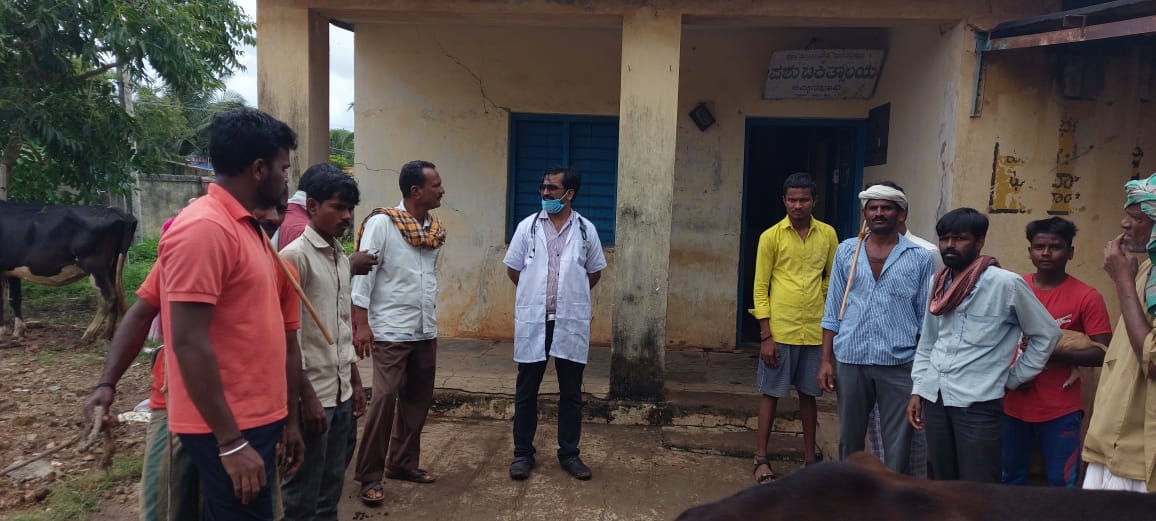 cattle Skin knot infections in the Dharwad district