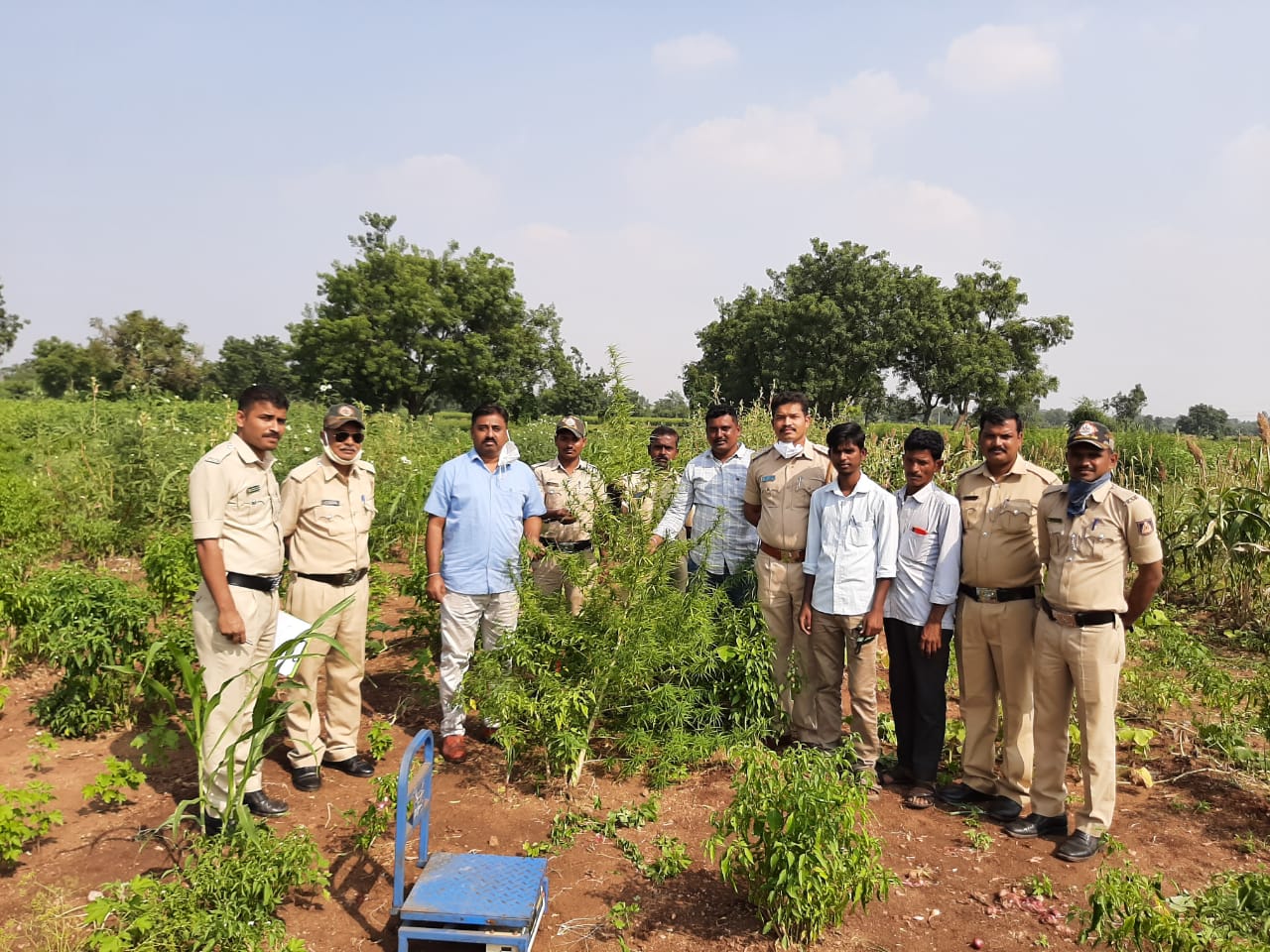 ಗಾಂಜಾ ವಶಪಡಿಸಿಕೊಂಡ ಅಬಕಾರಿ ಪೊಲೀಸರು