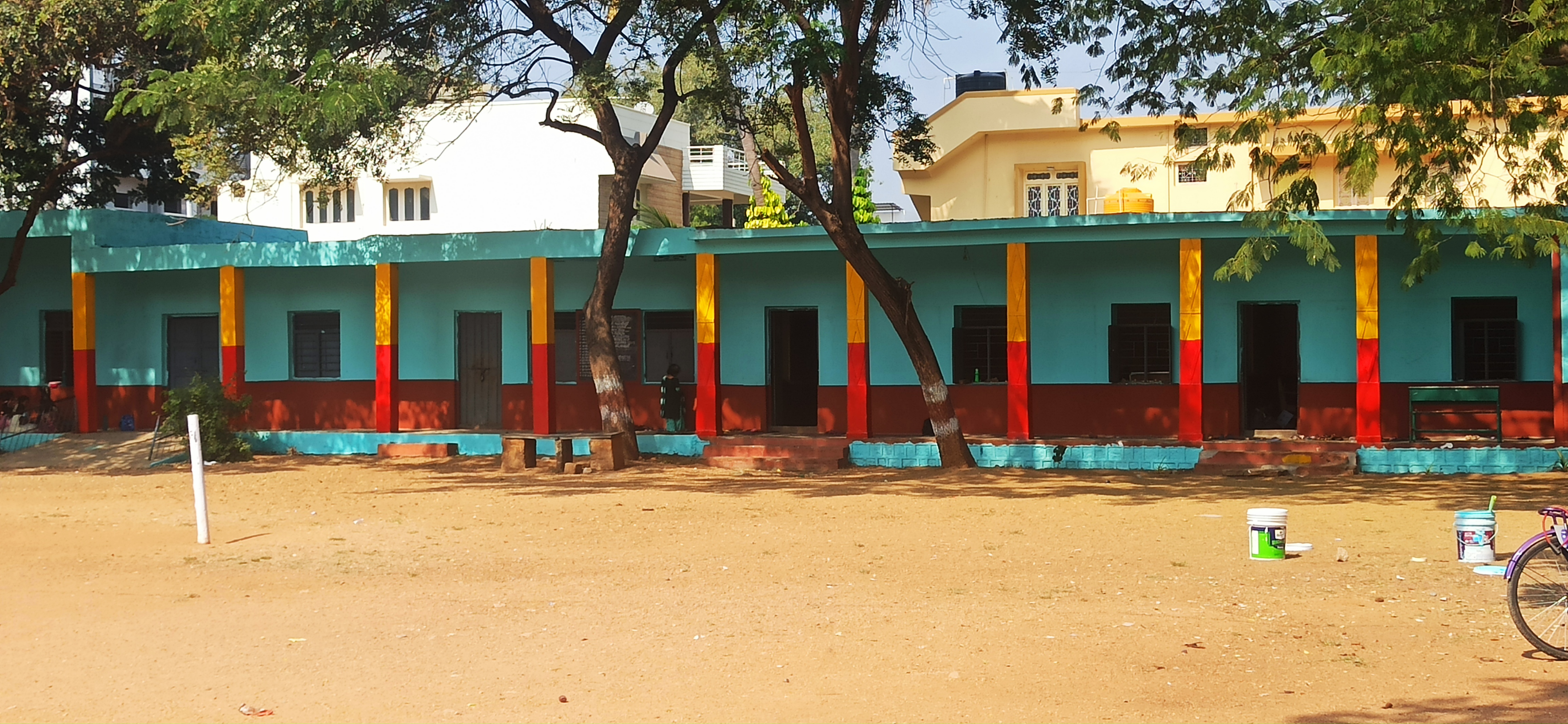 Anu is painting 113 government schools in four years