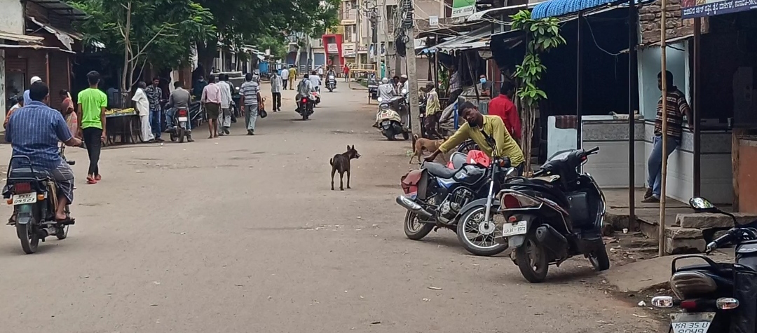 ಲಾಕ್​​ಡೌನ್​​​ ಜಾರಿ ಇದ್ದರೂ ಸಹಜ ವ್ಯಾಪಾರ-ವಹಿವಾಟು