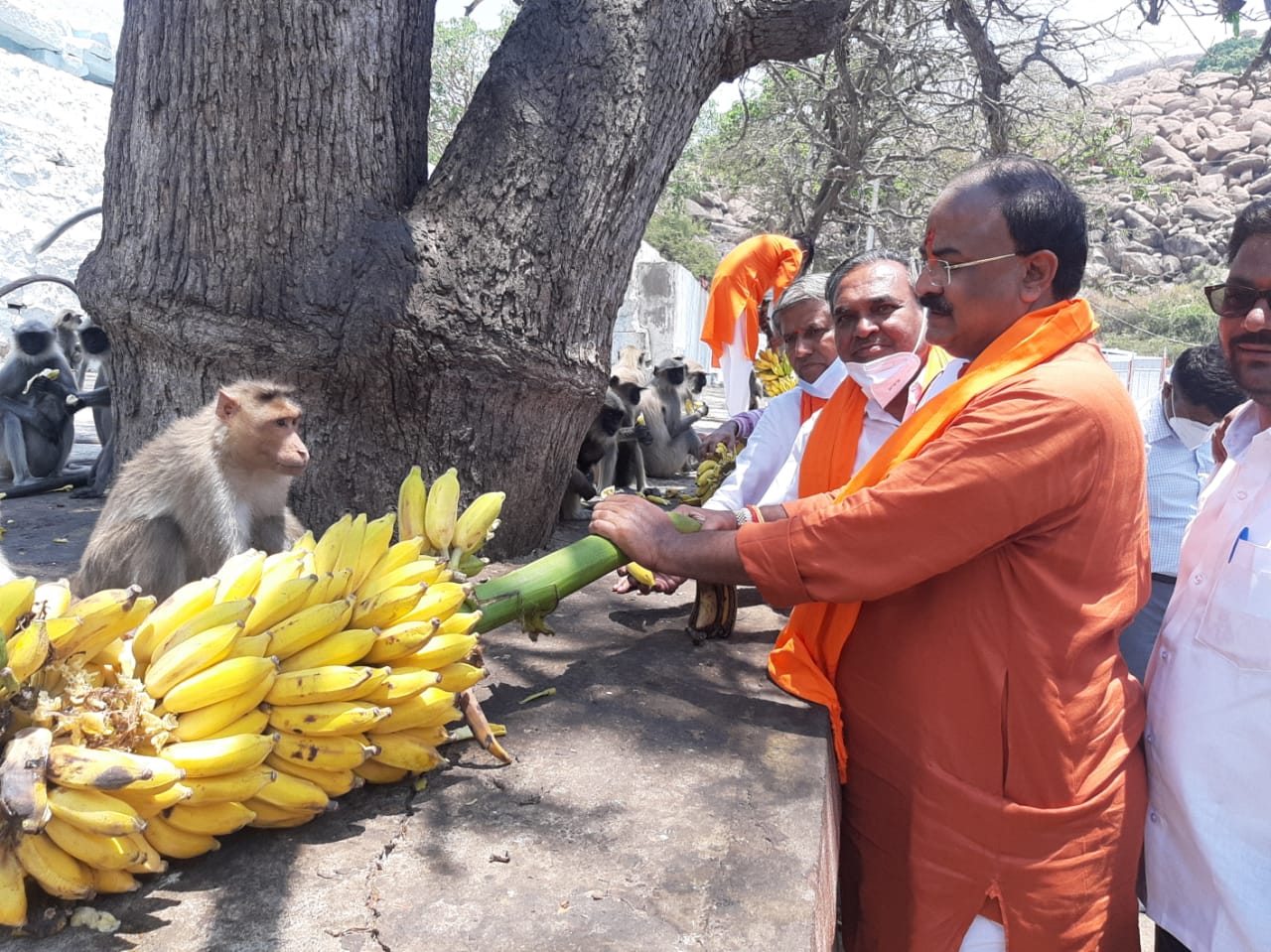 monkey climbed on ministers shoulder