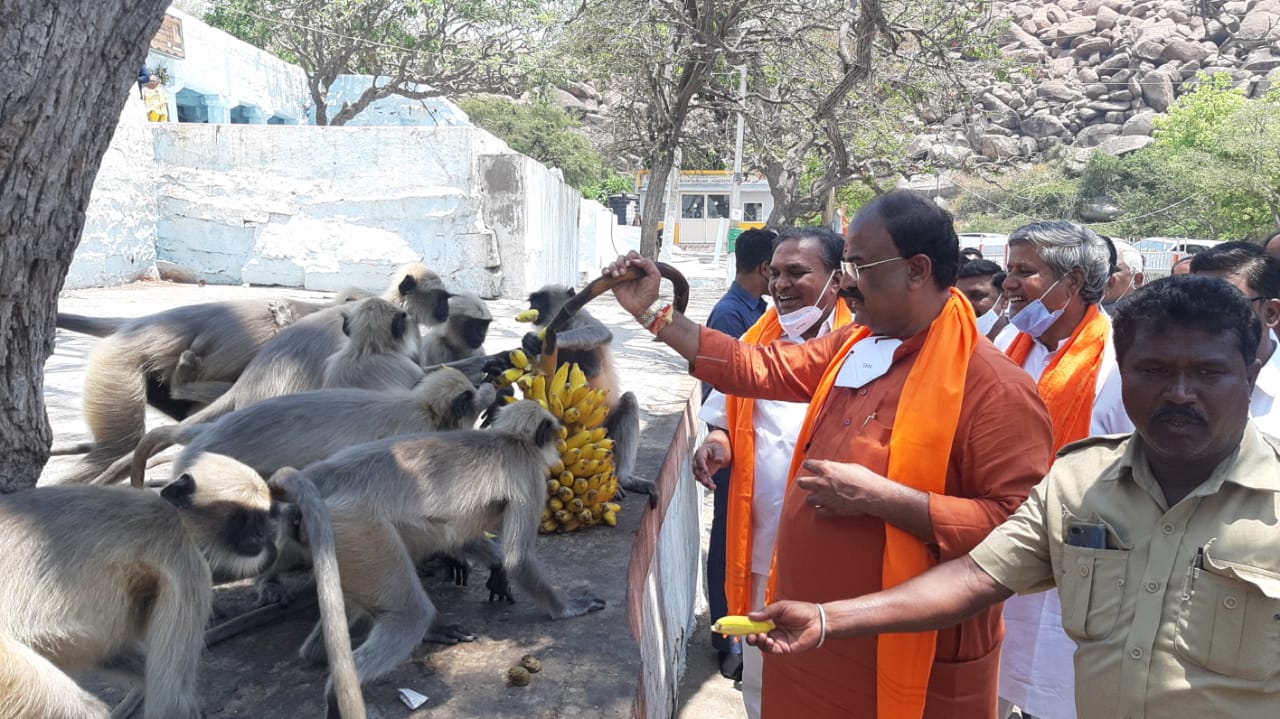 monkey climbed on ministers shoulder