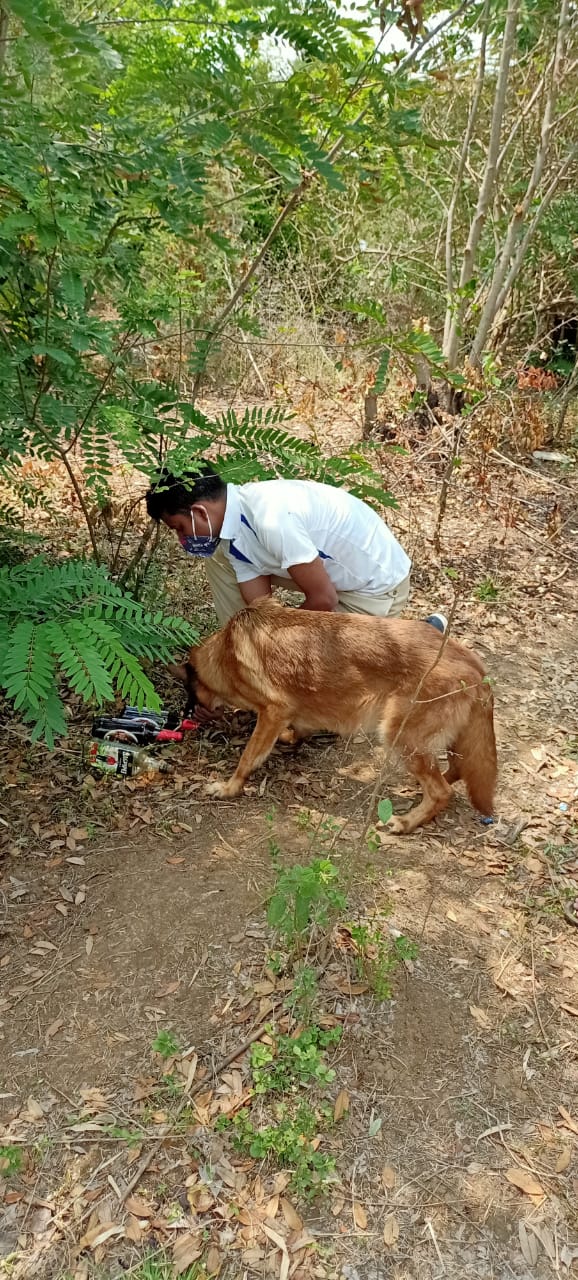 deadbody found with seperated body parts  in hubli